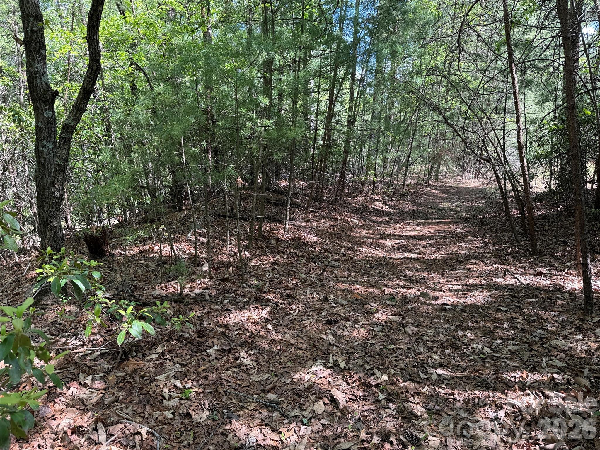main property photo 18