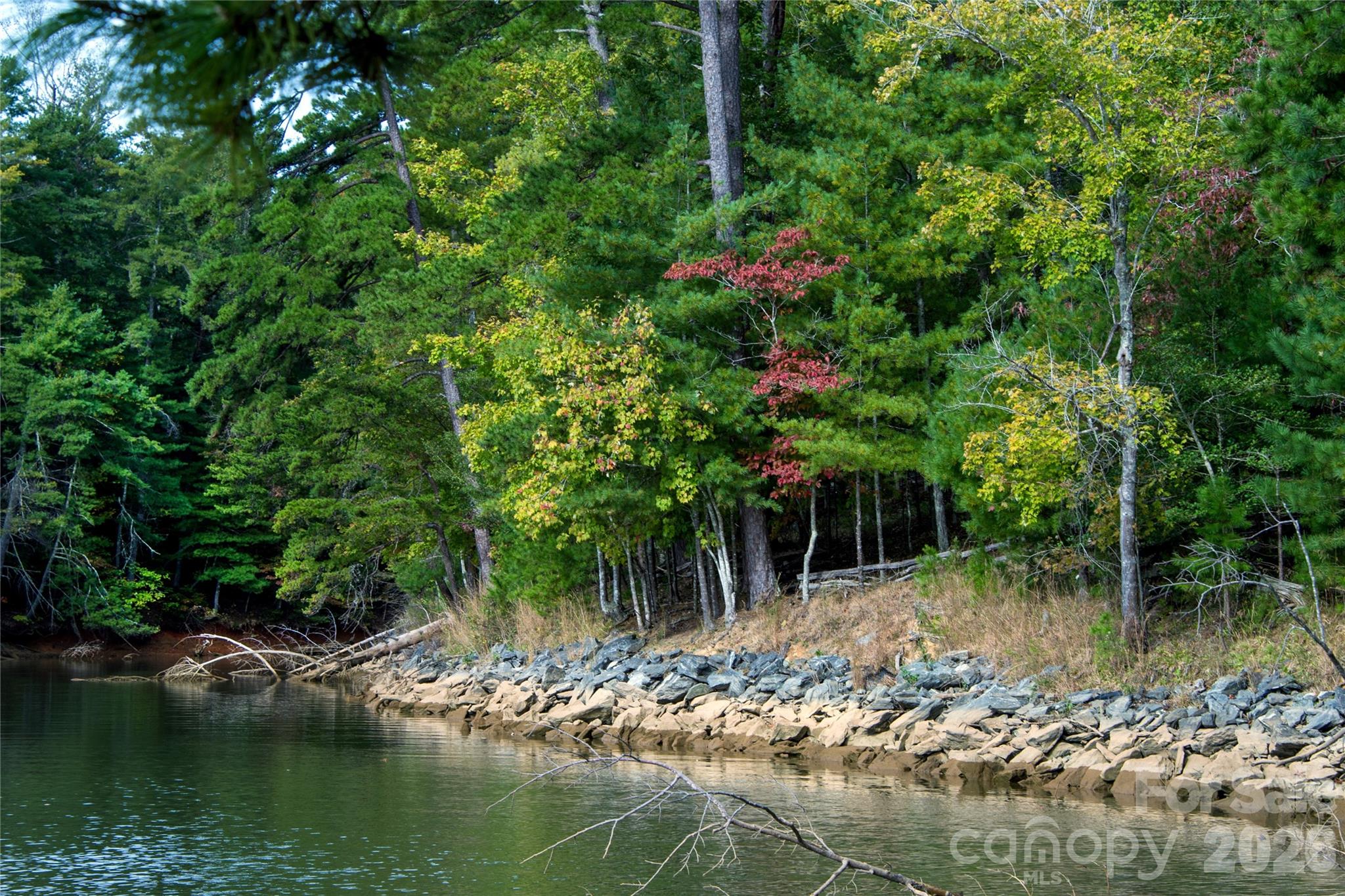main property photo 18