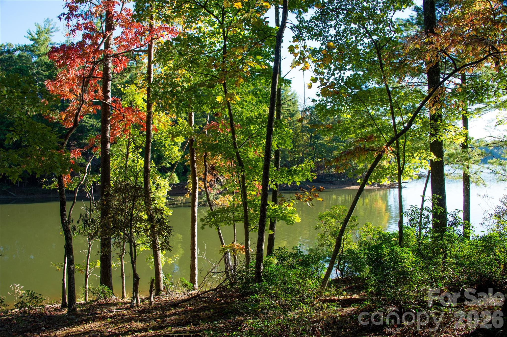 main property photo 22