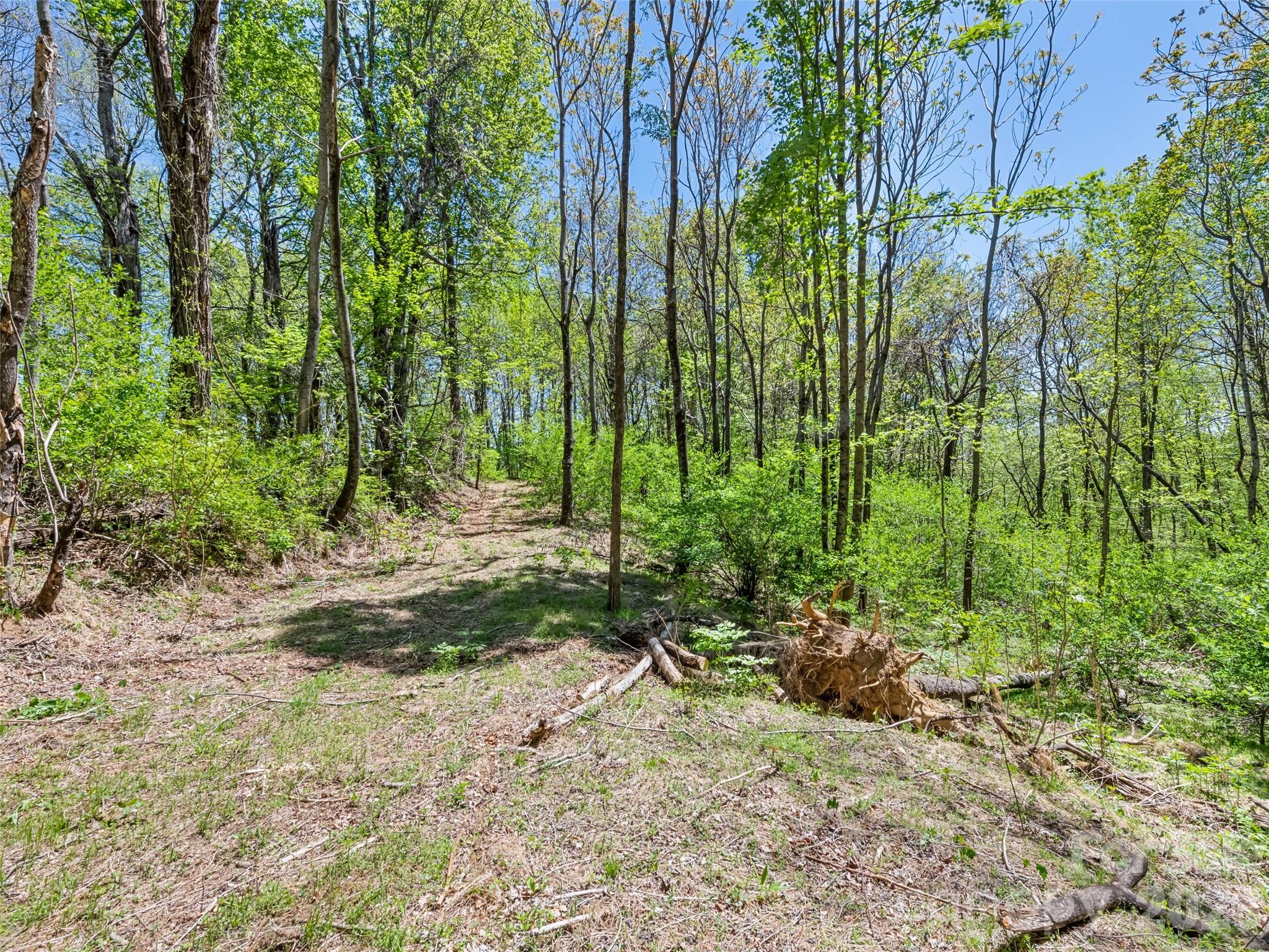 main property photo 38