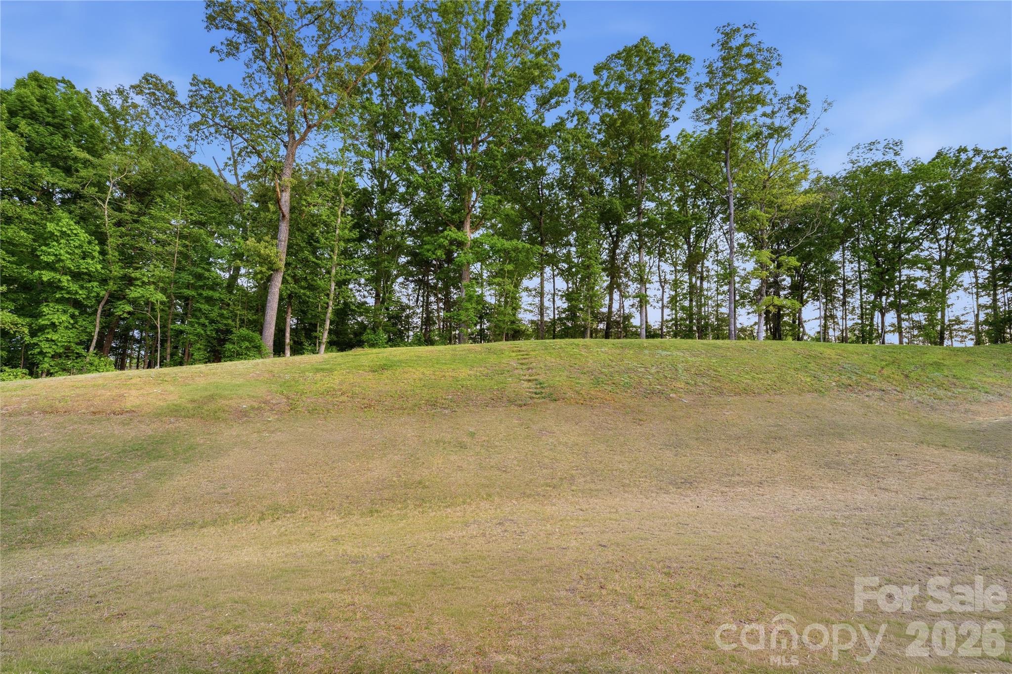 main property photo 44