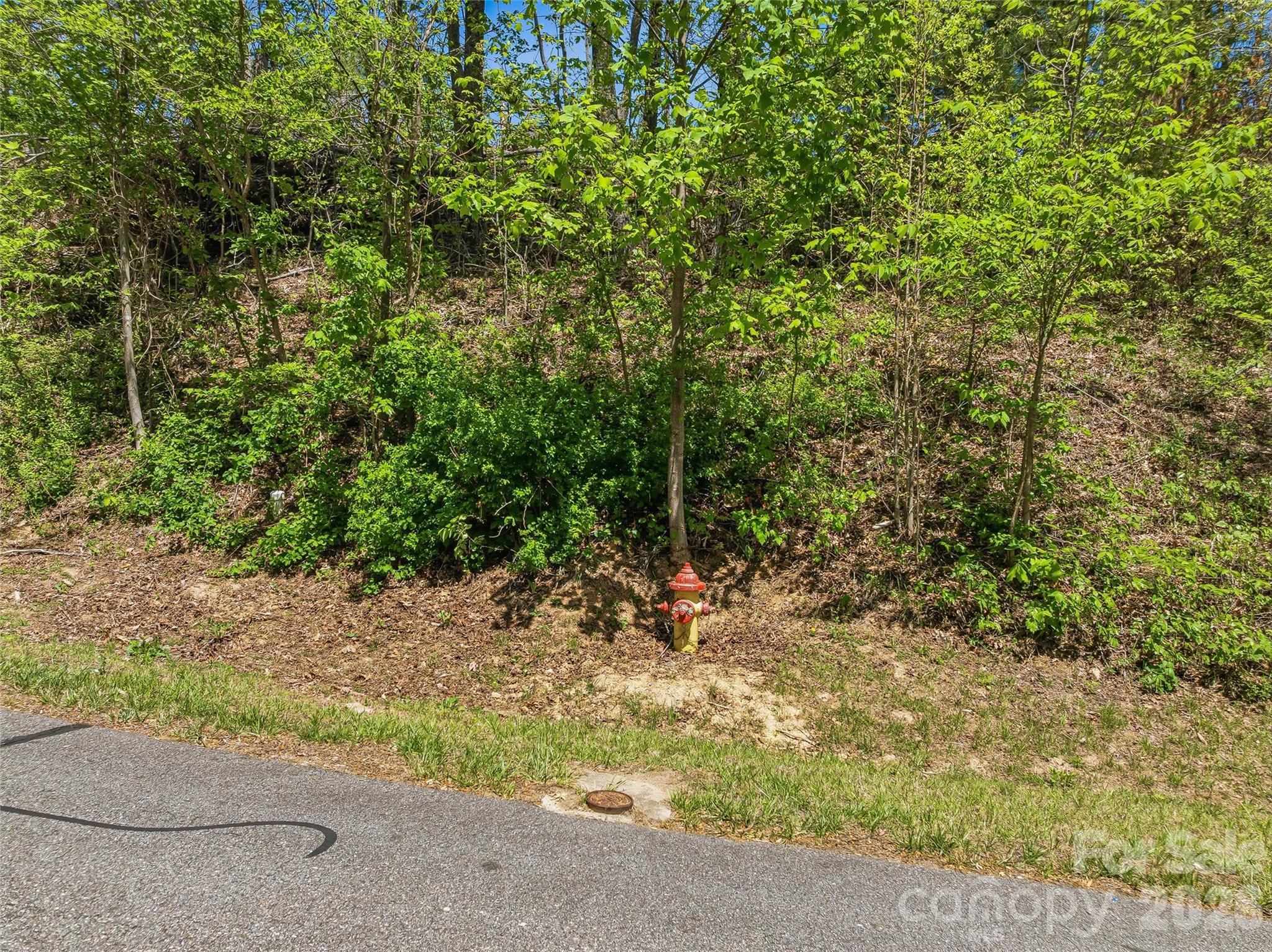 main property photo 29