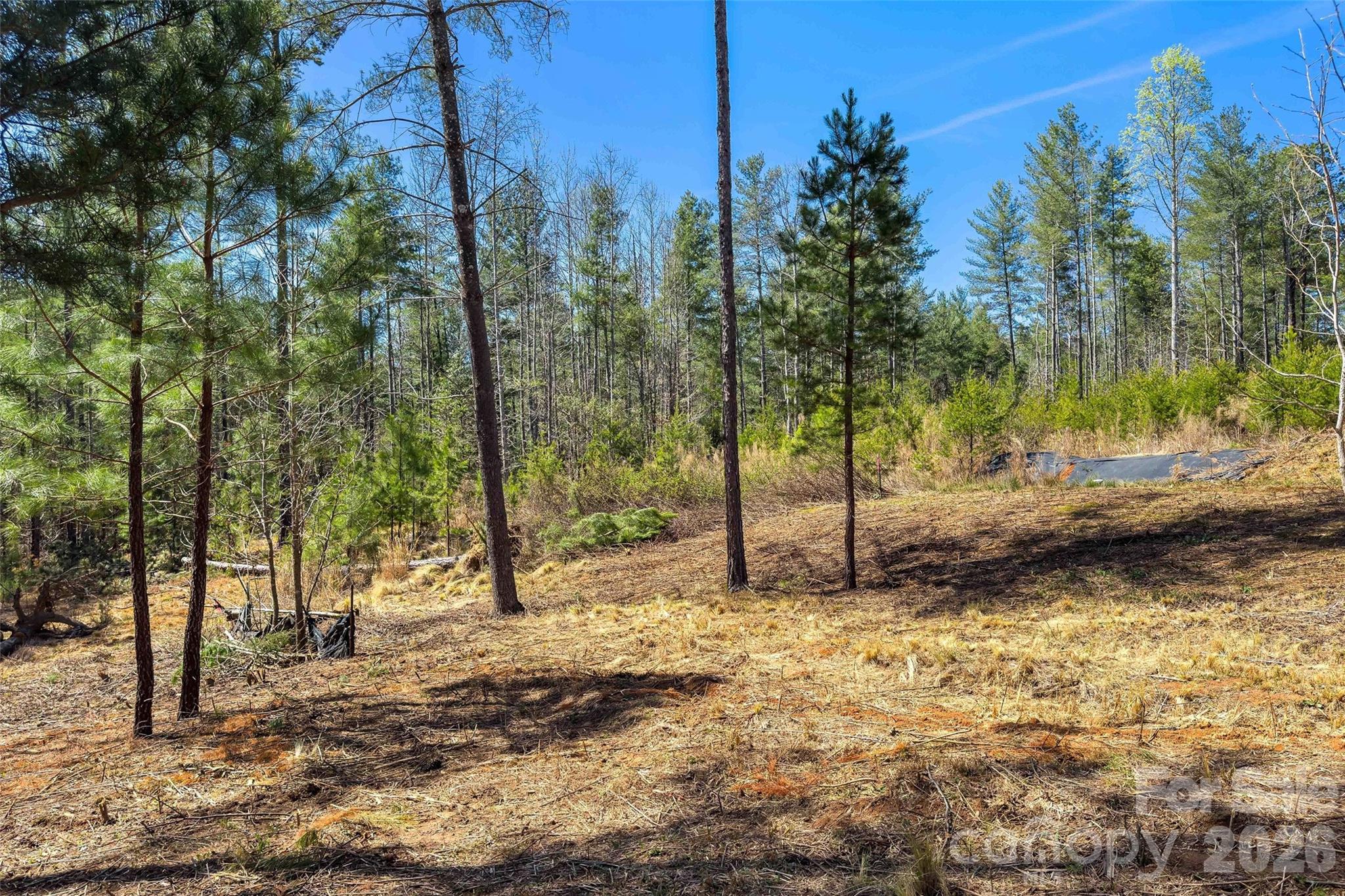 main property photo 10