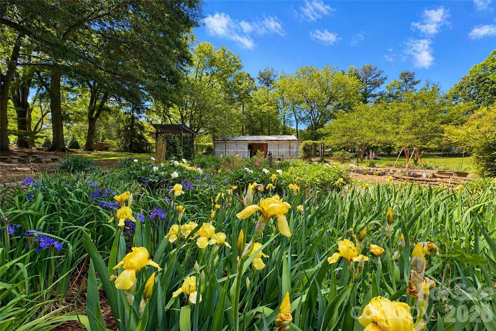 main property photo 31