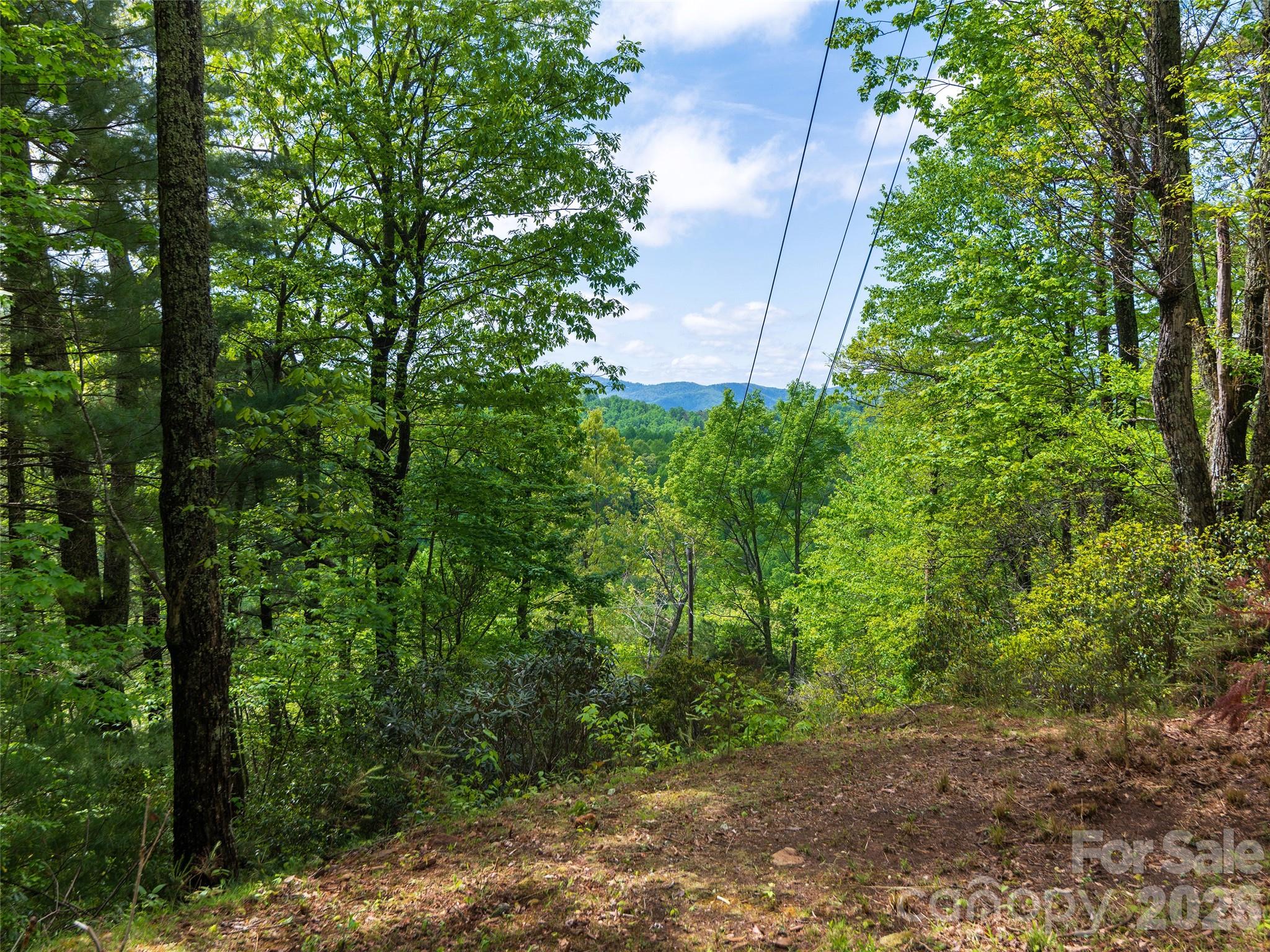main property photo 37