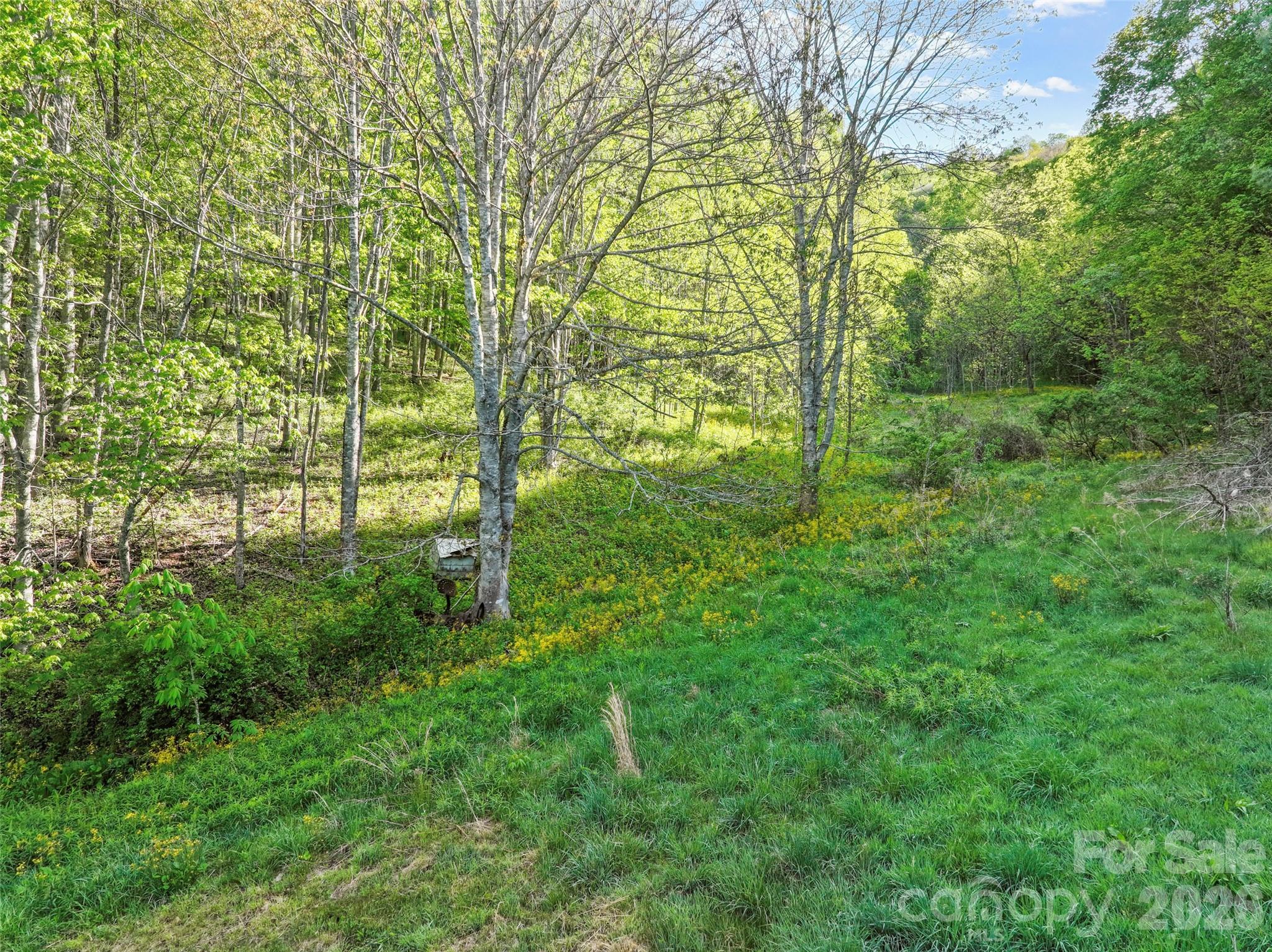 main property photo 13