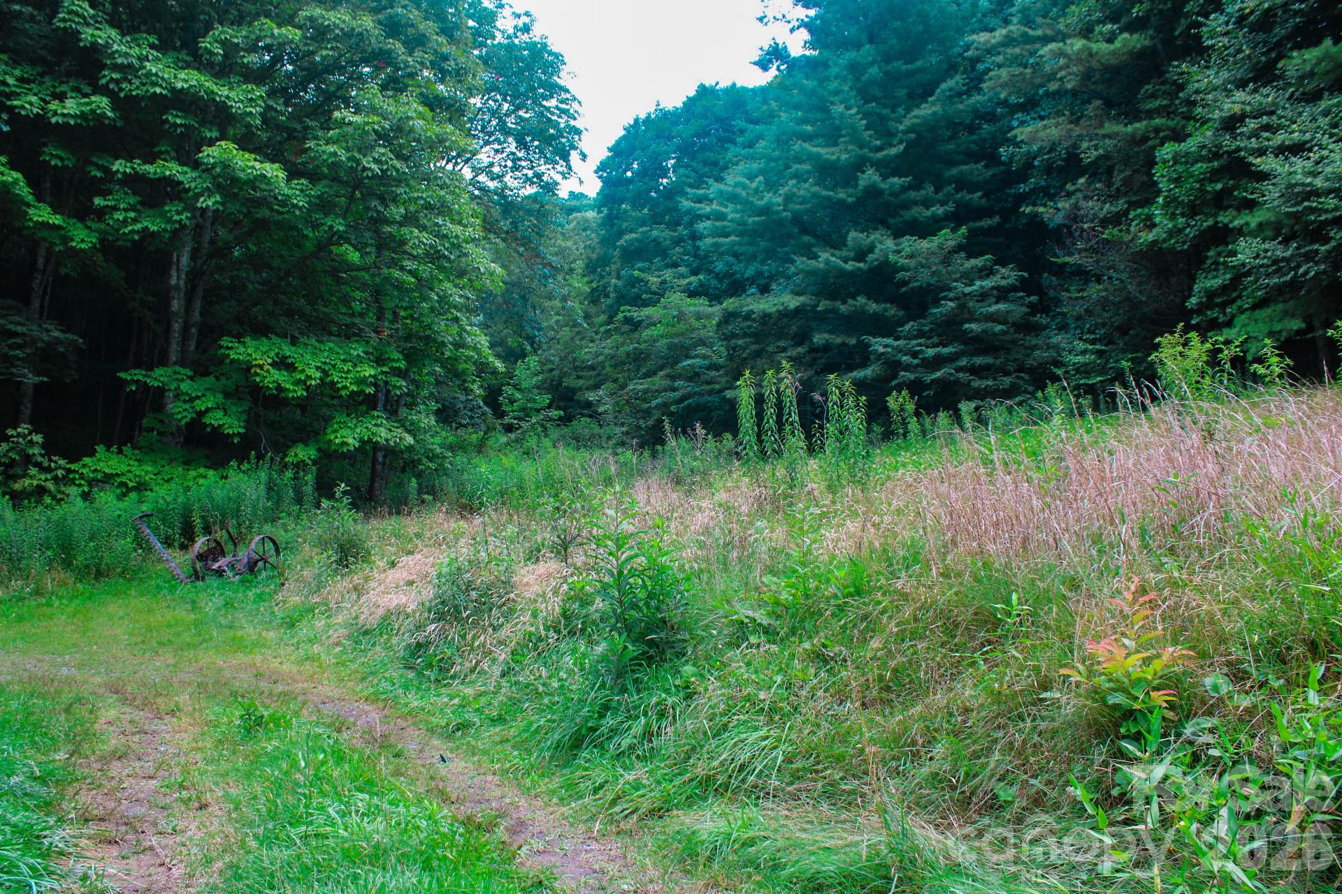 main property photo 30
