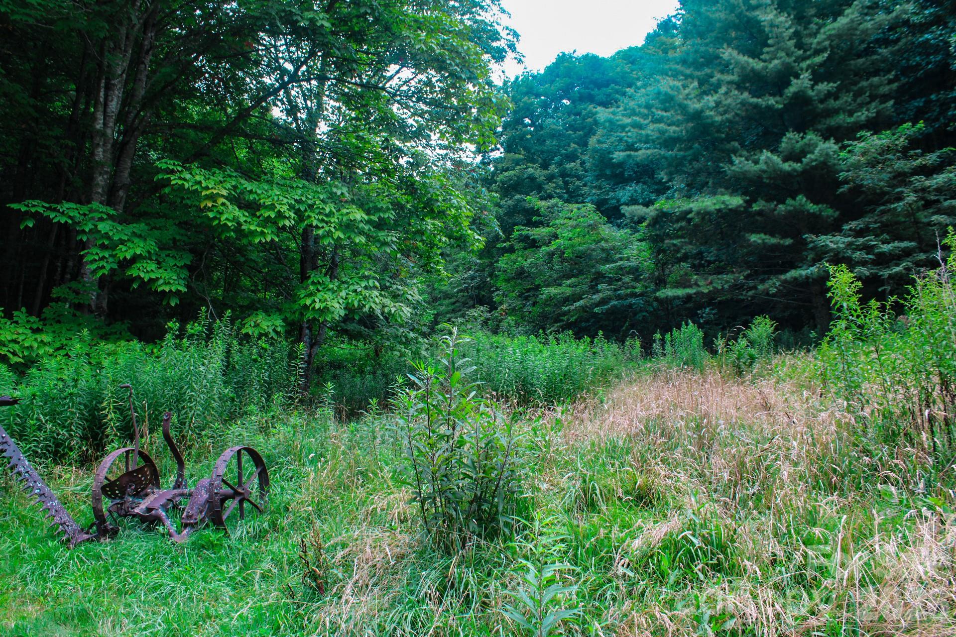 main property photo 32