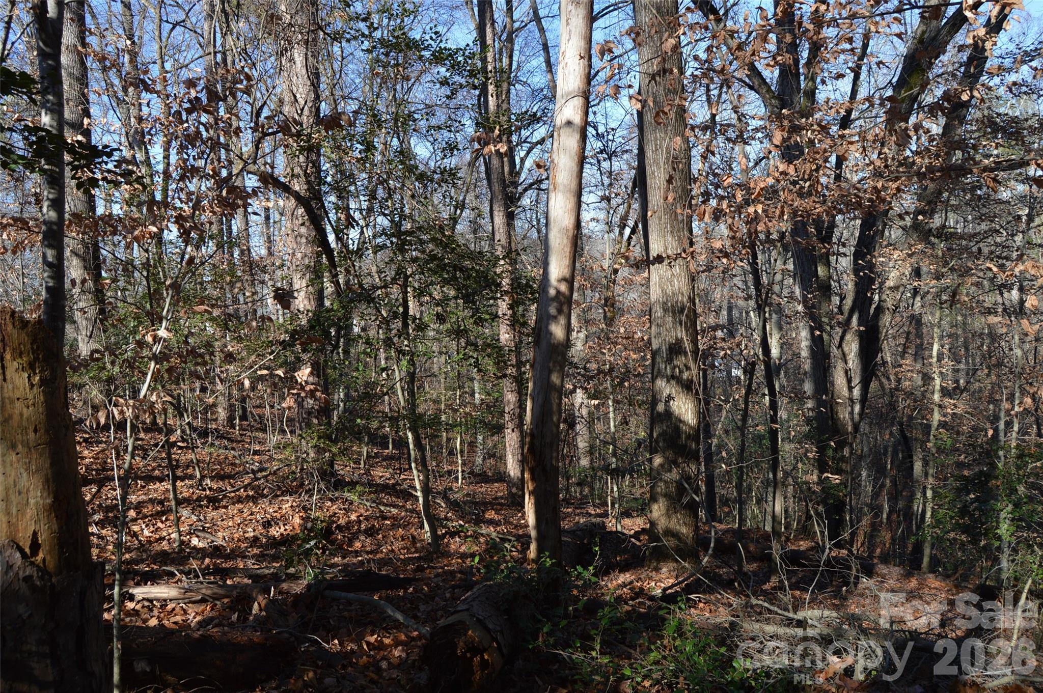 main property photo 7