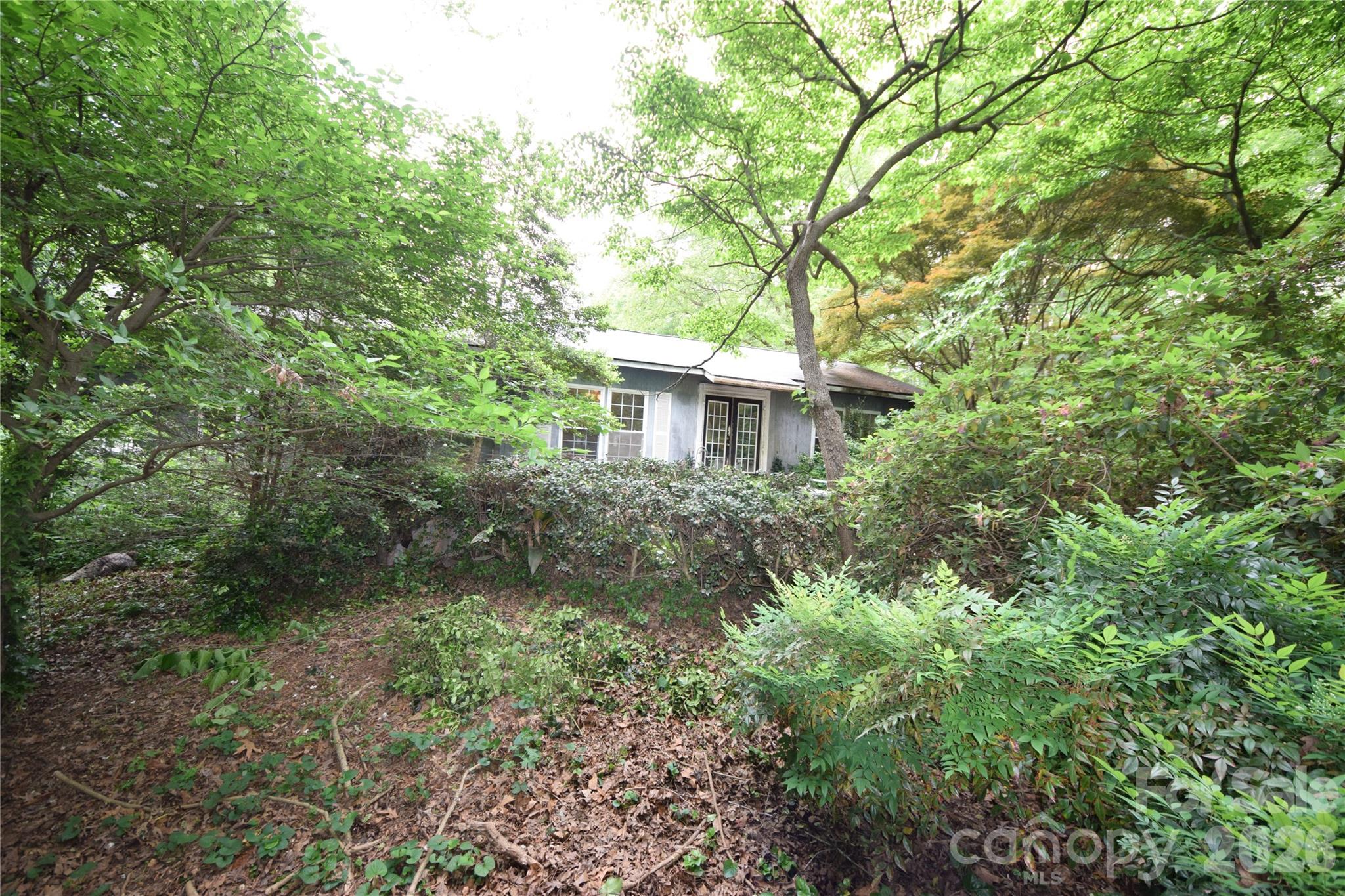 main property photo 32