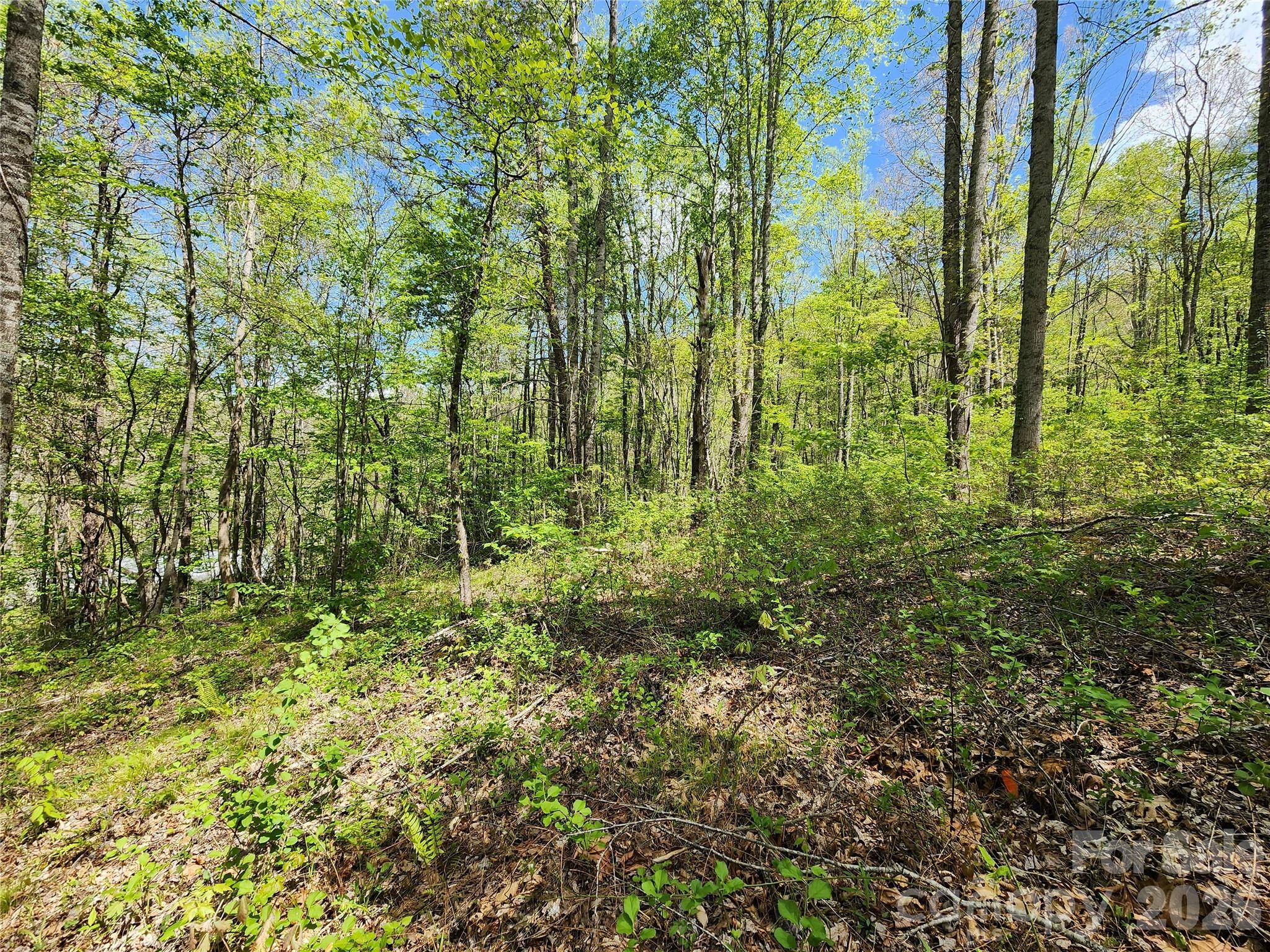 main property photo 11