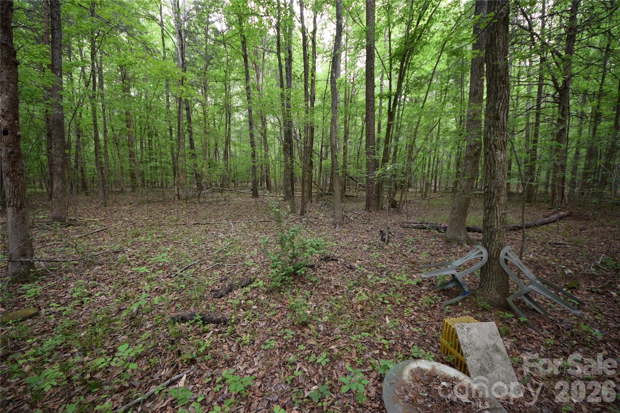 main property photo 25