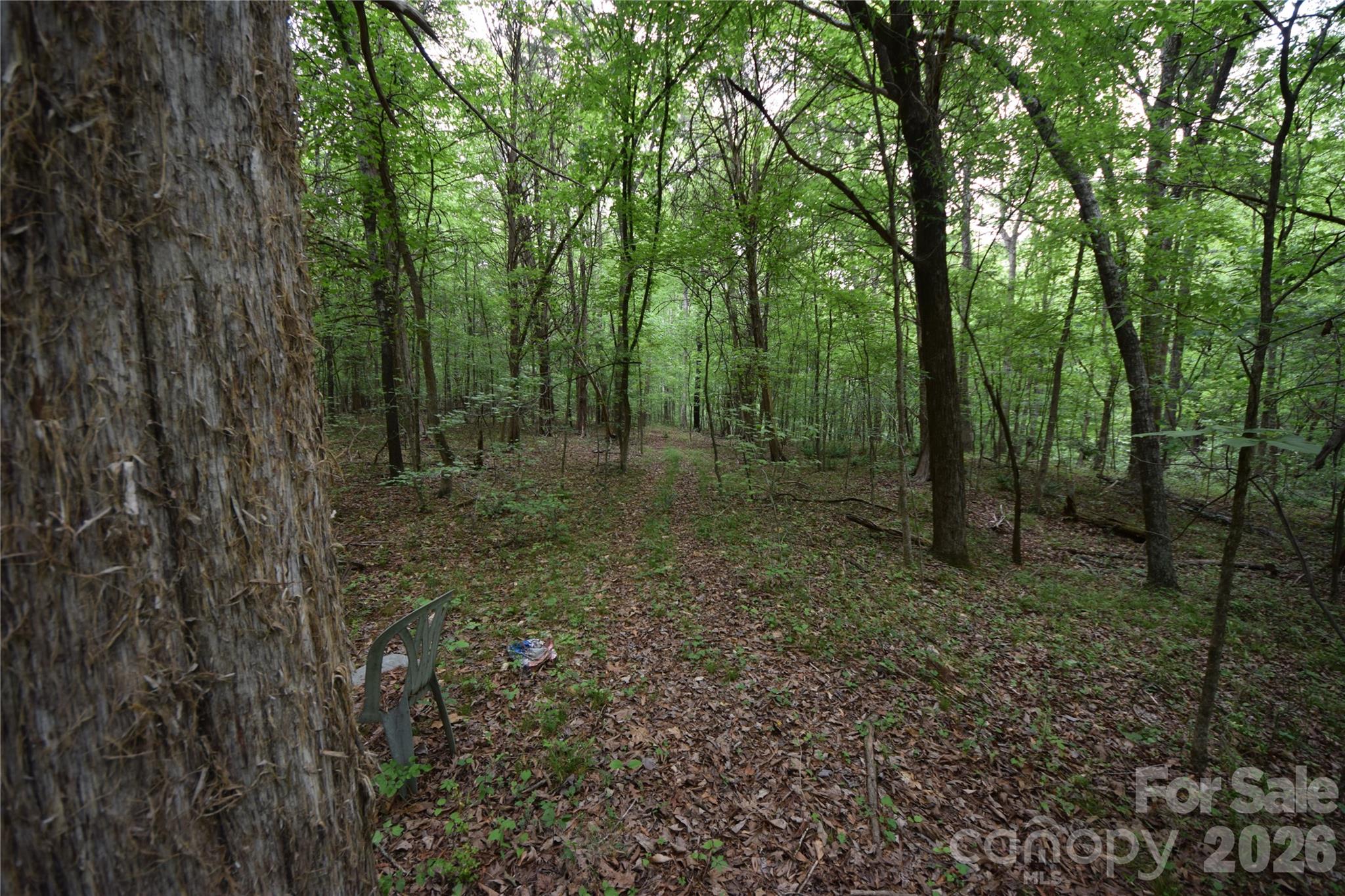 main property photo 26