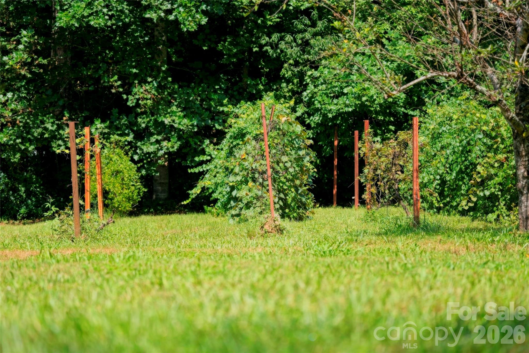 main property photo 43