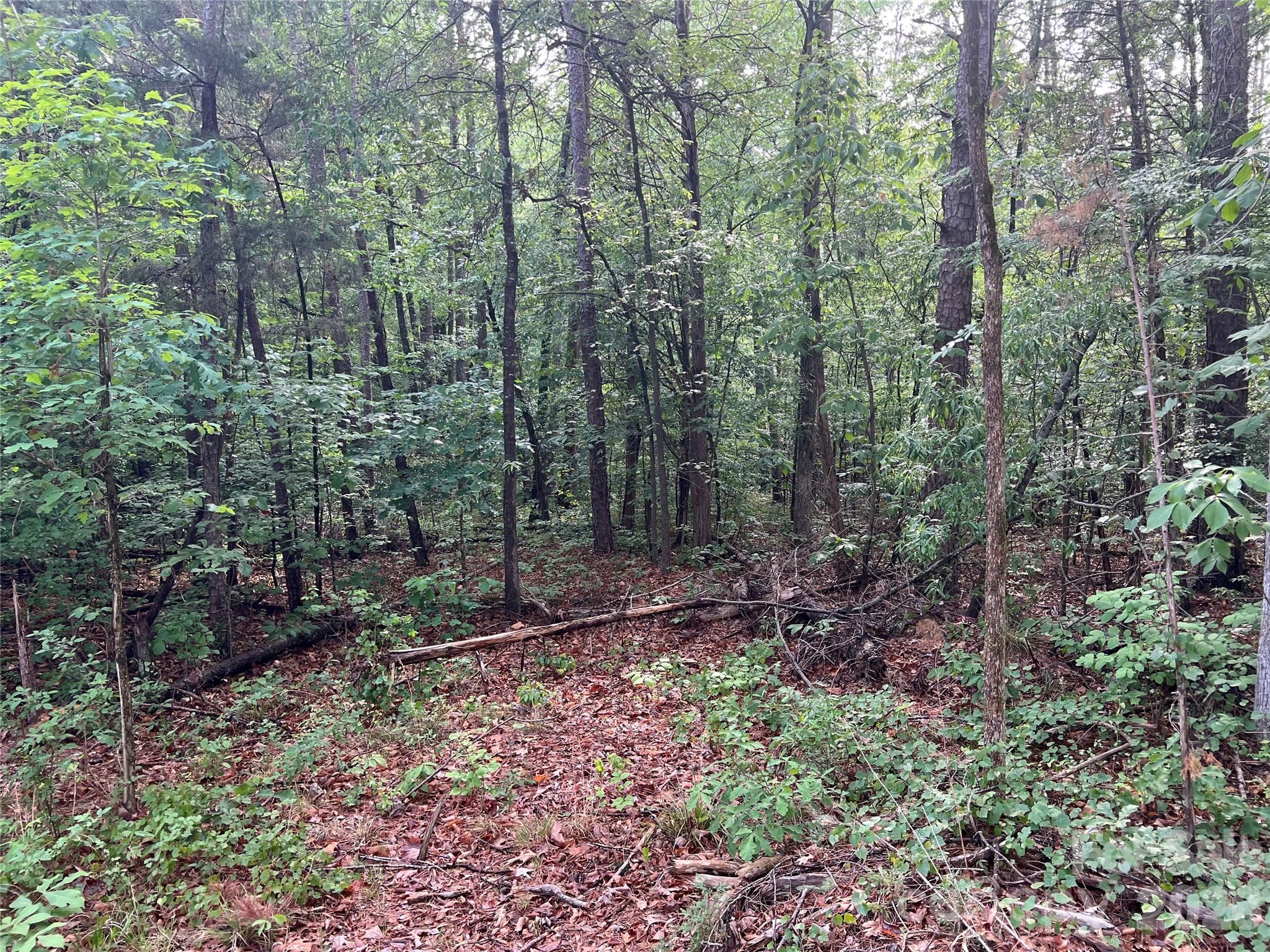main property photo 11