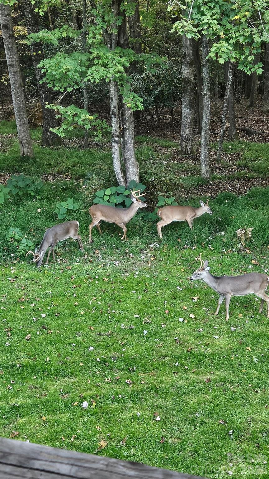 main property photo 47
