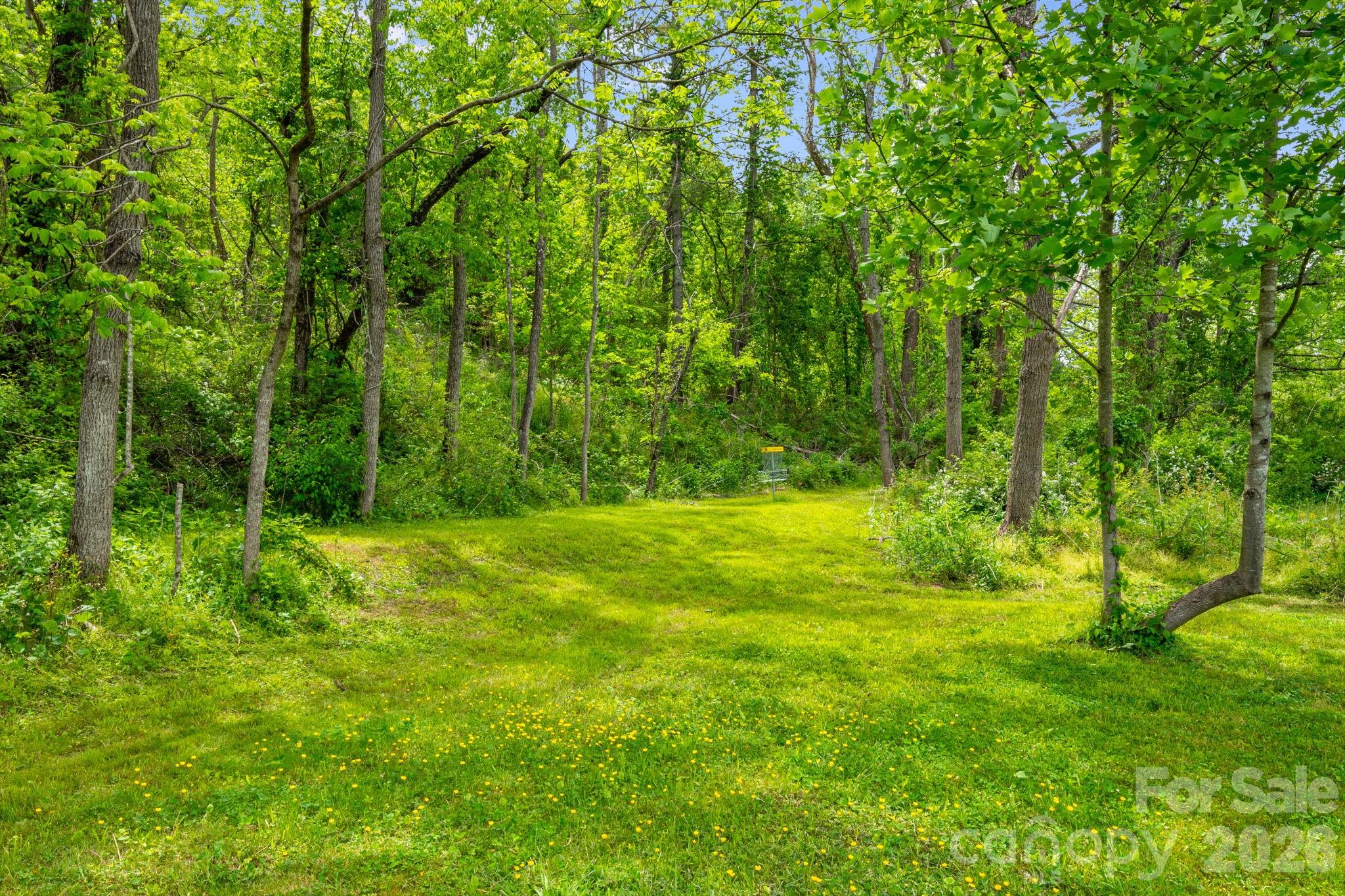 main property photo 27