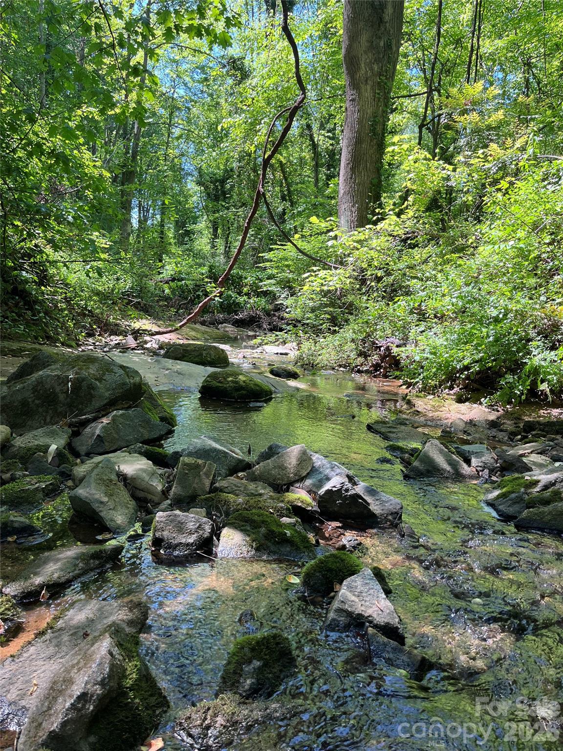 main property photo 45