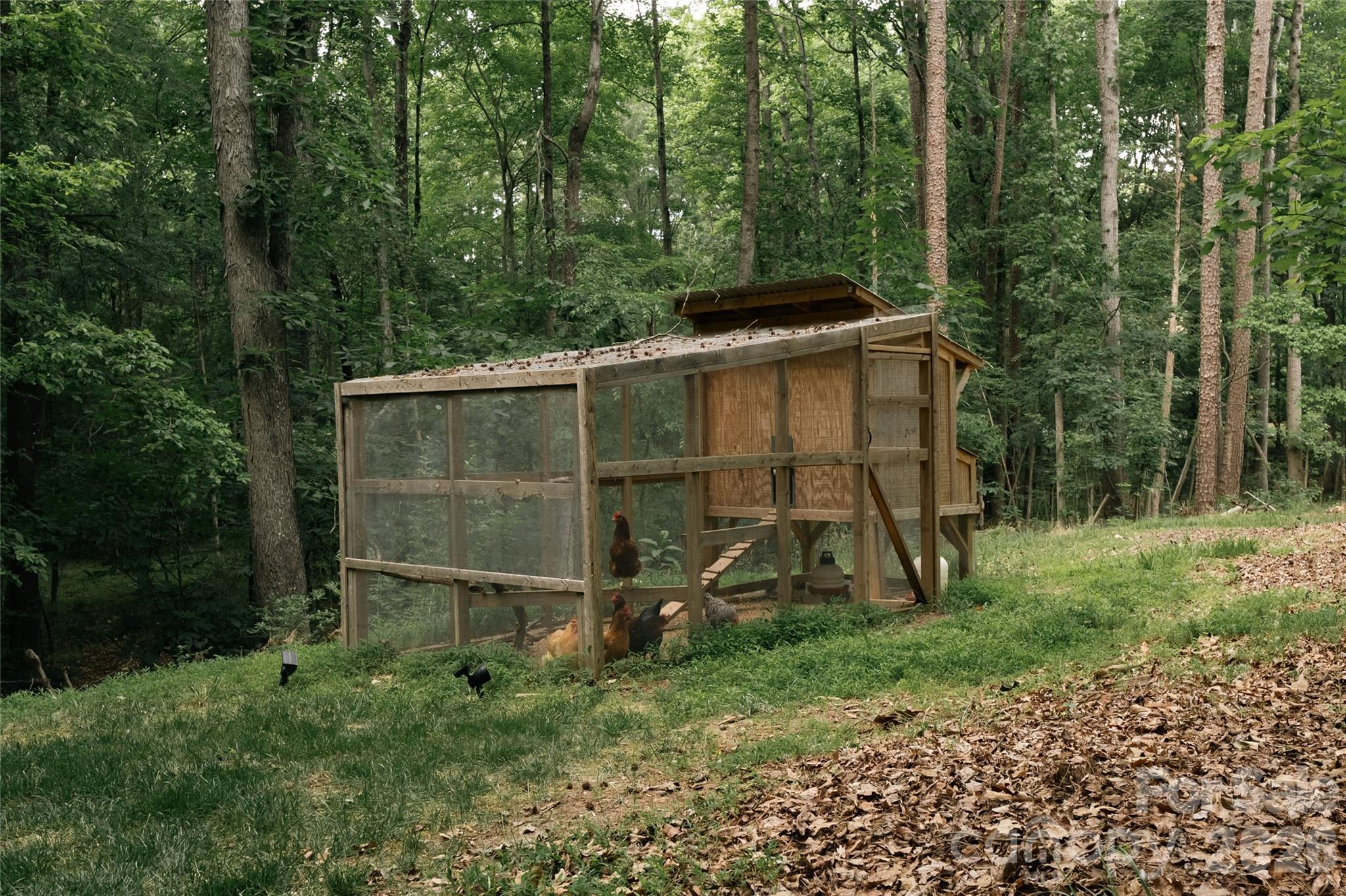 main property photo 41
