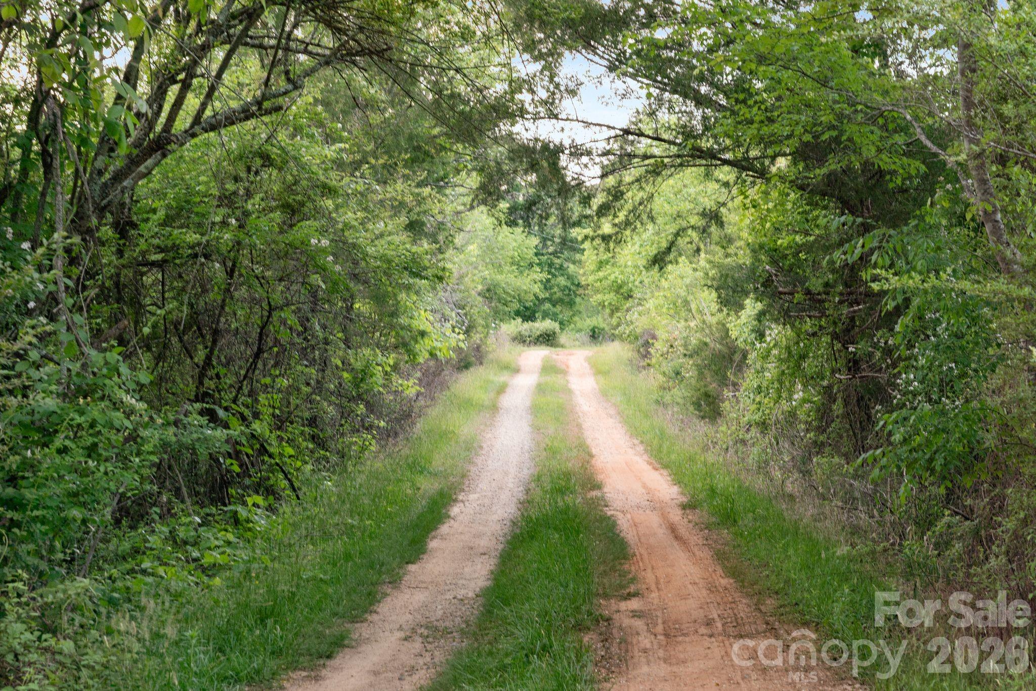 main property photo 31