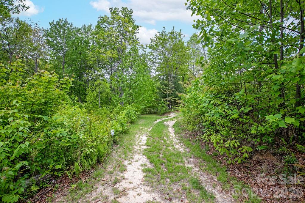 main property photo 37