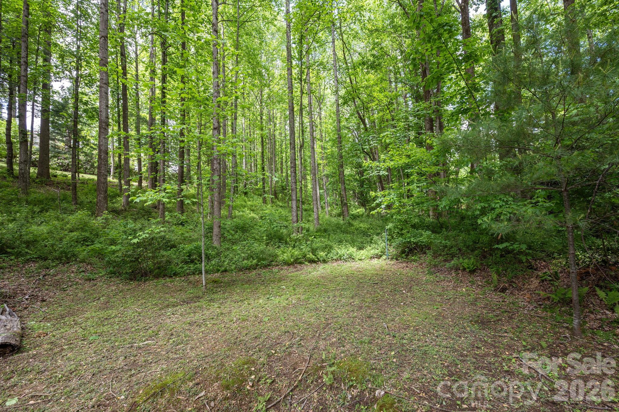 main property photo 40