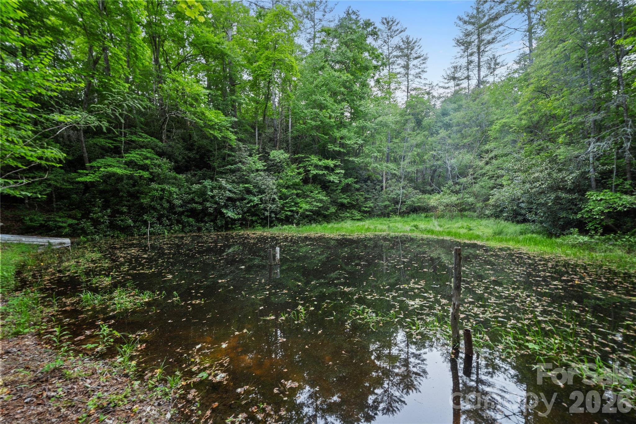 main property photo 11