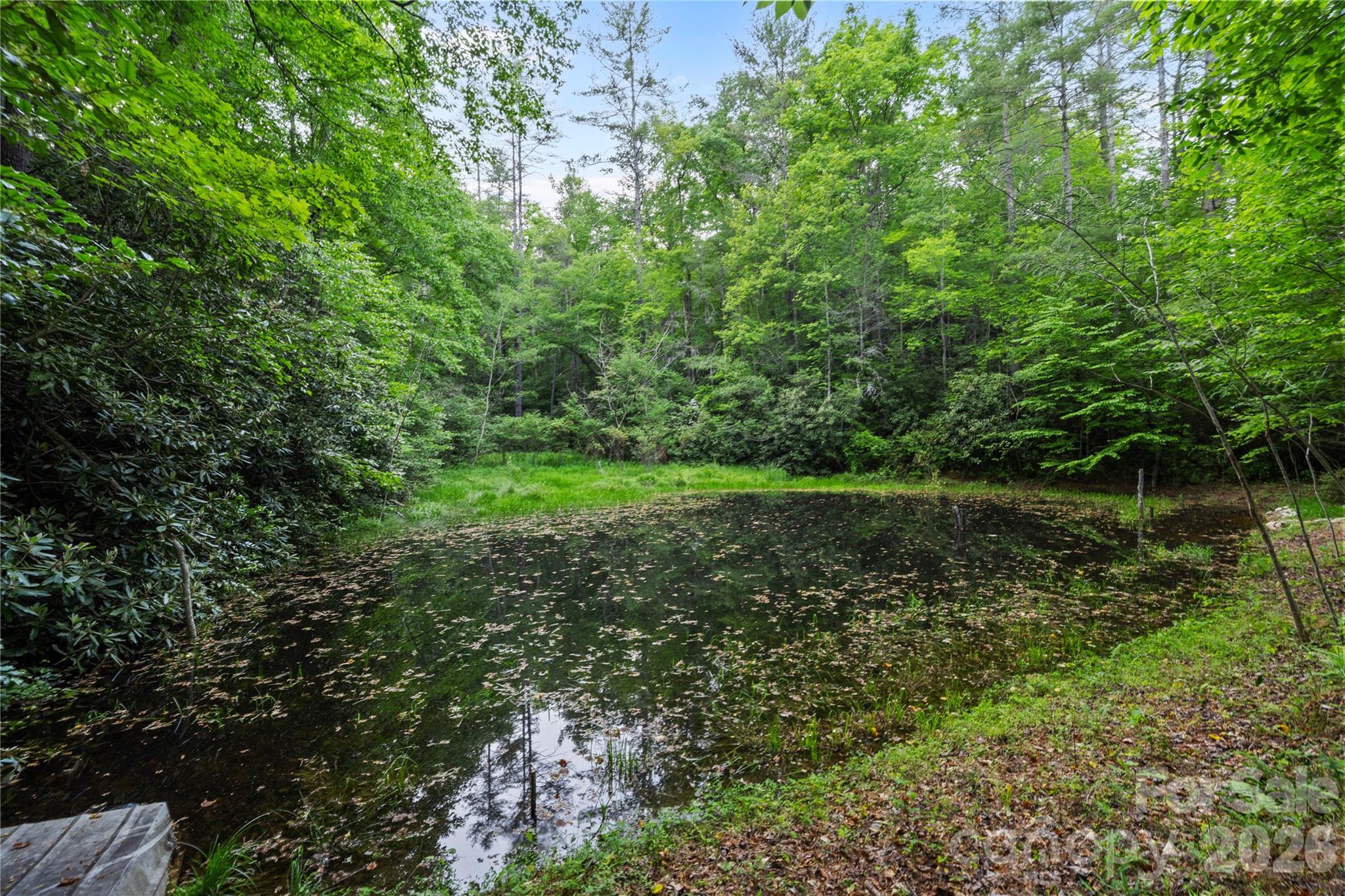 main property photo 12