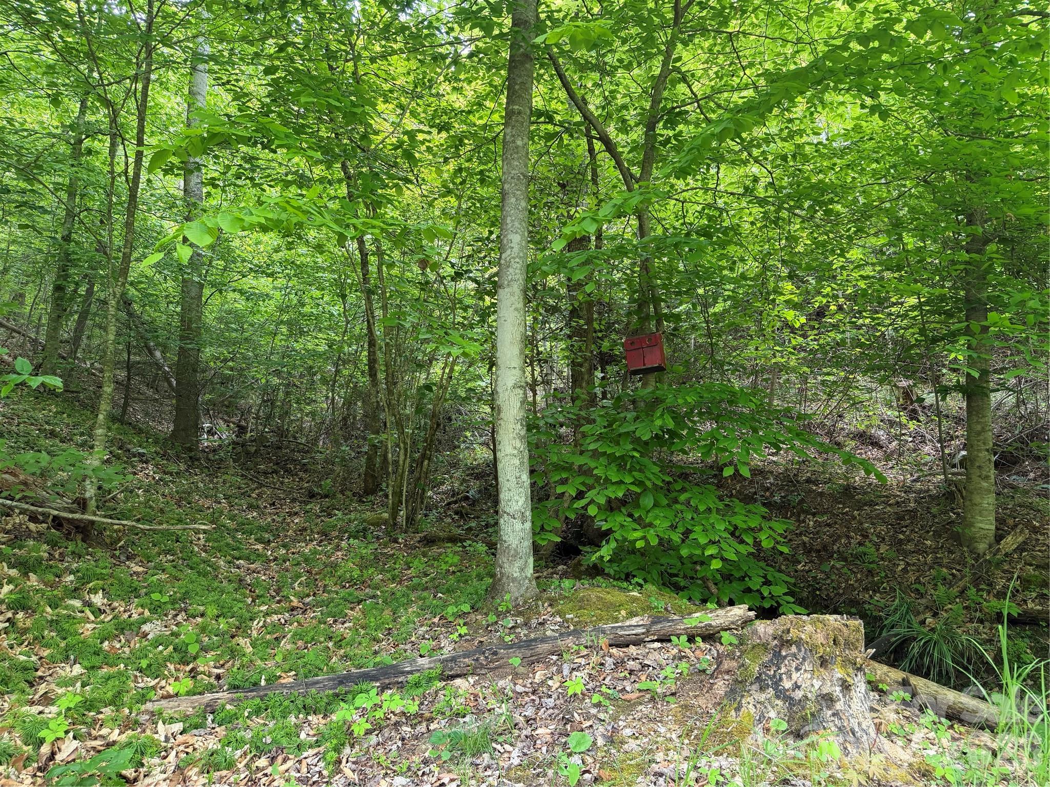 main property photo 28
