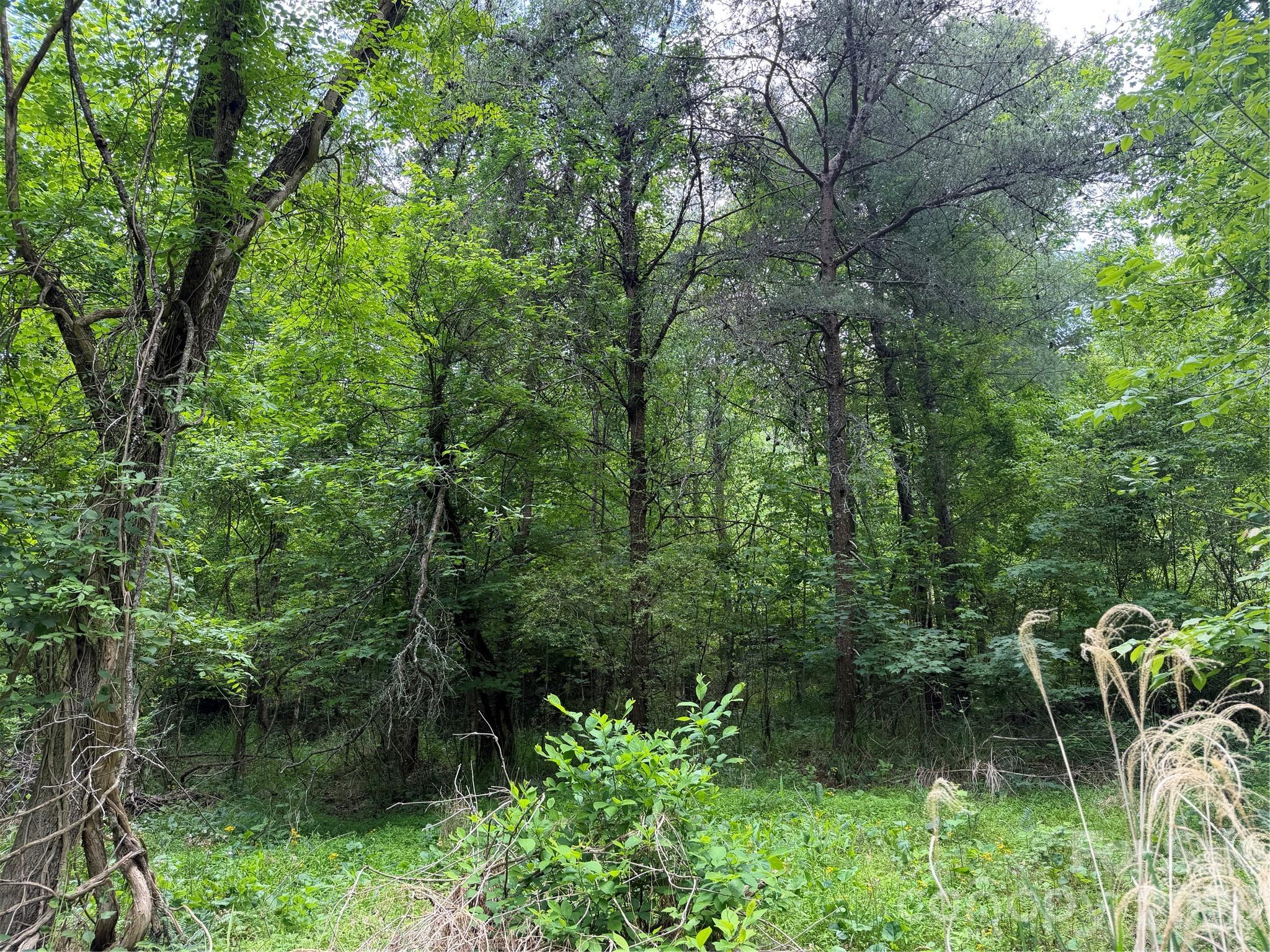 main property photo 6