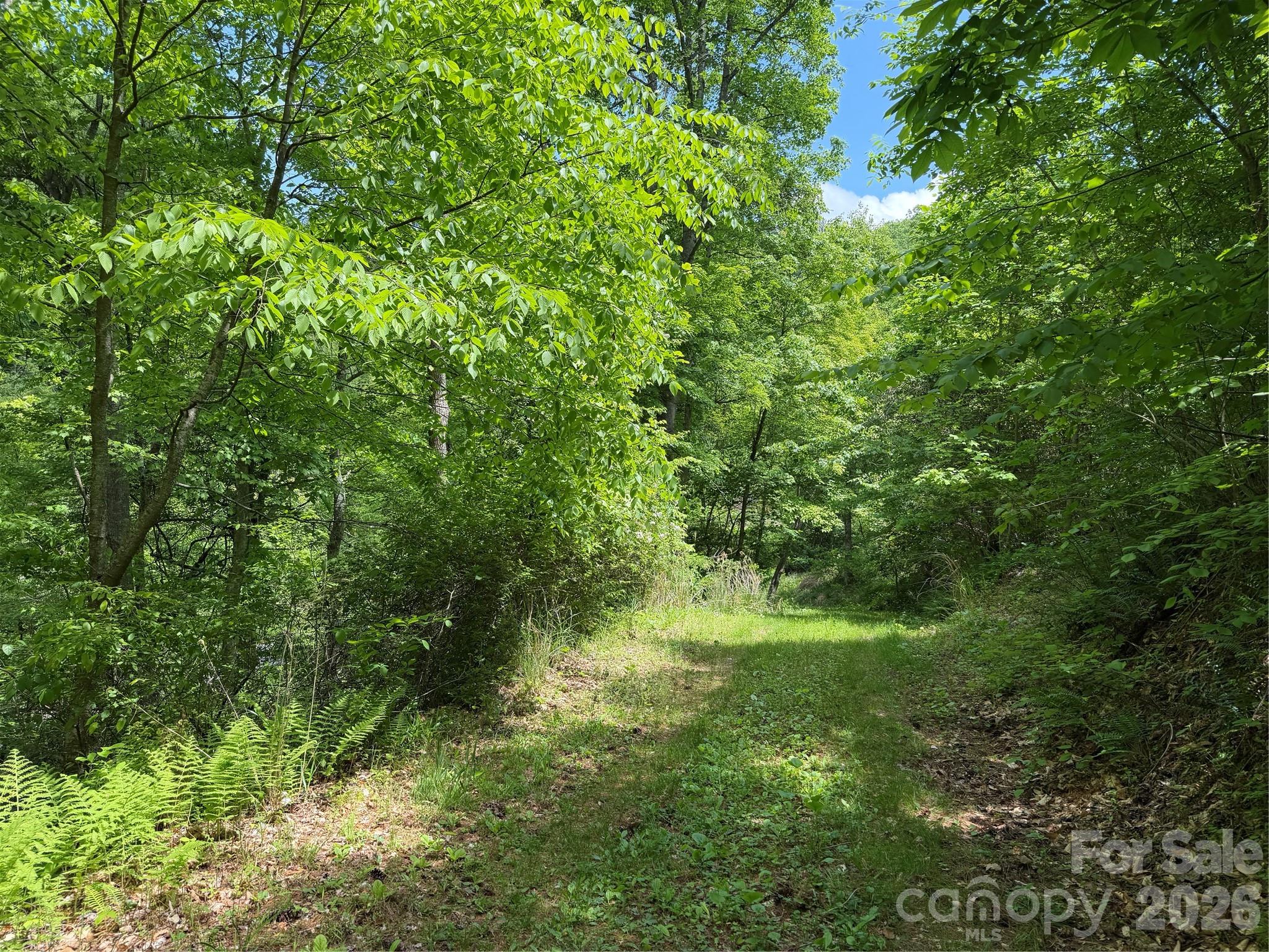 main property photo 9