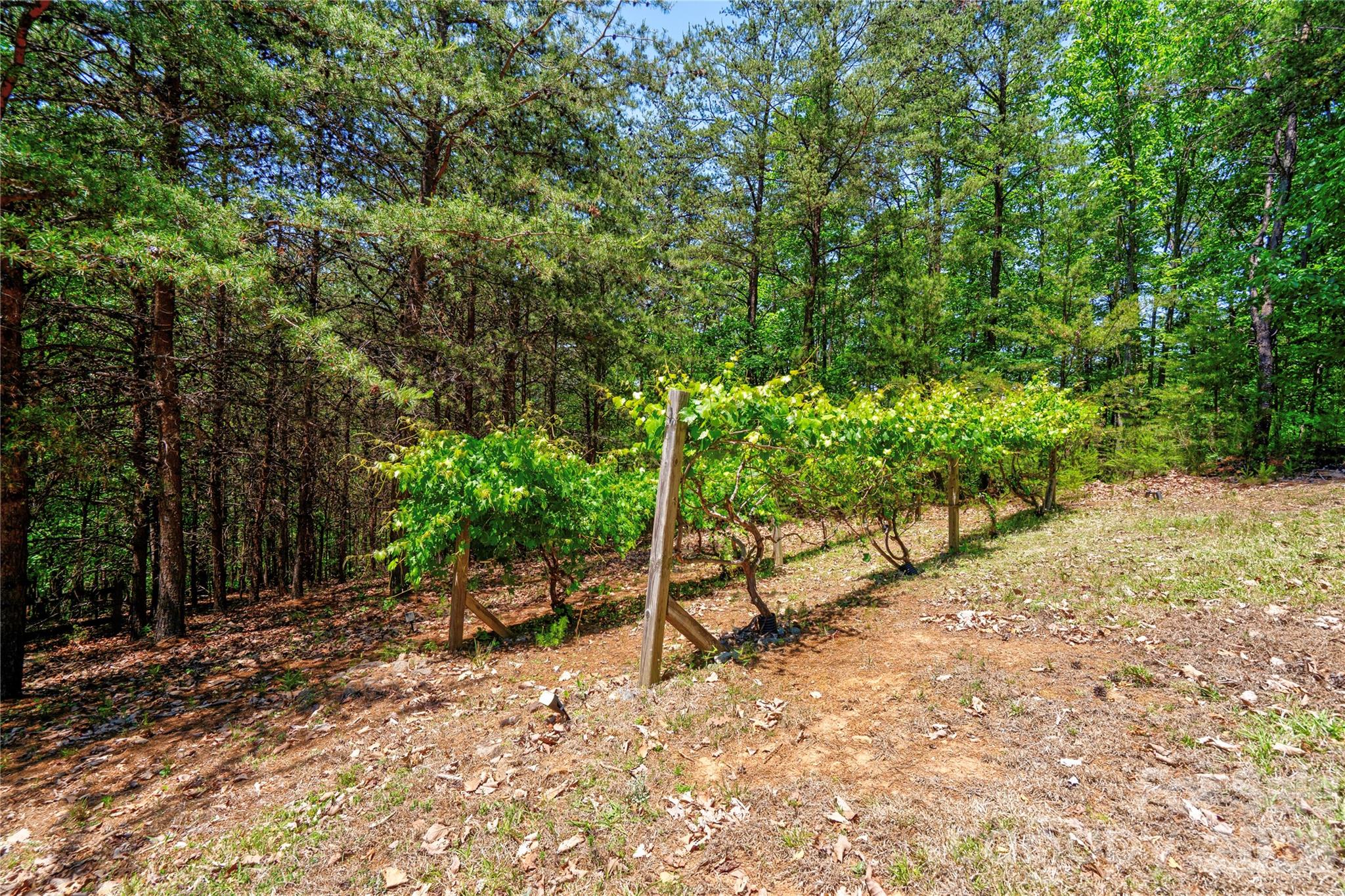 main property photo 13