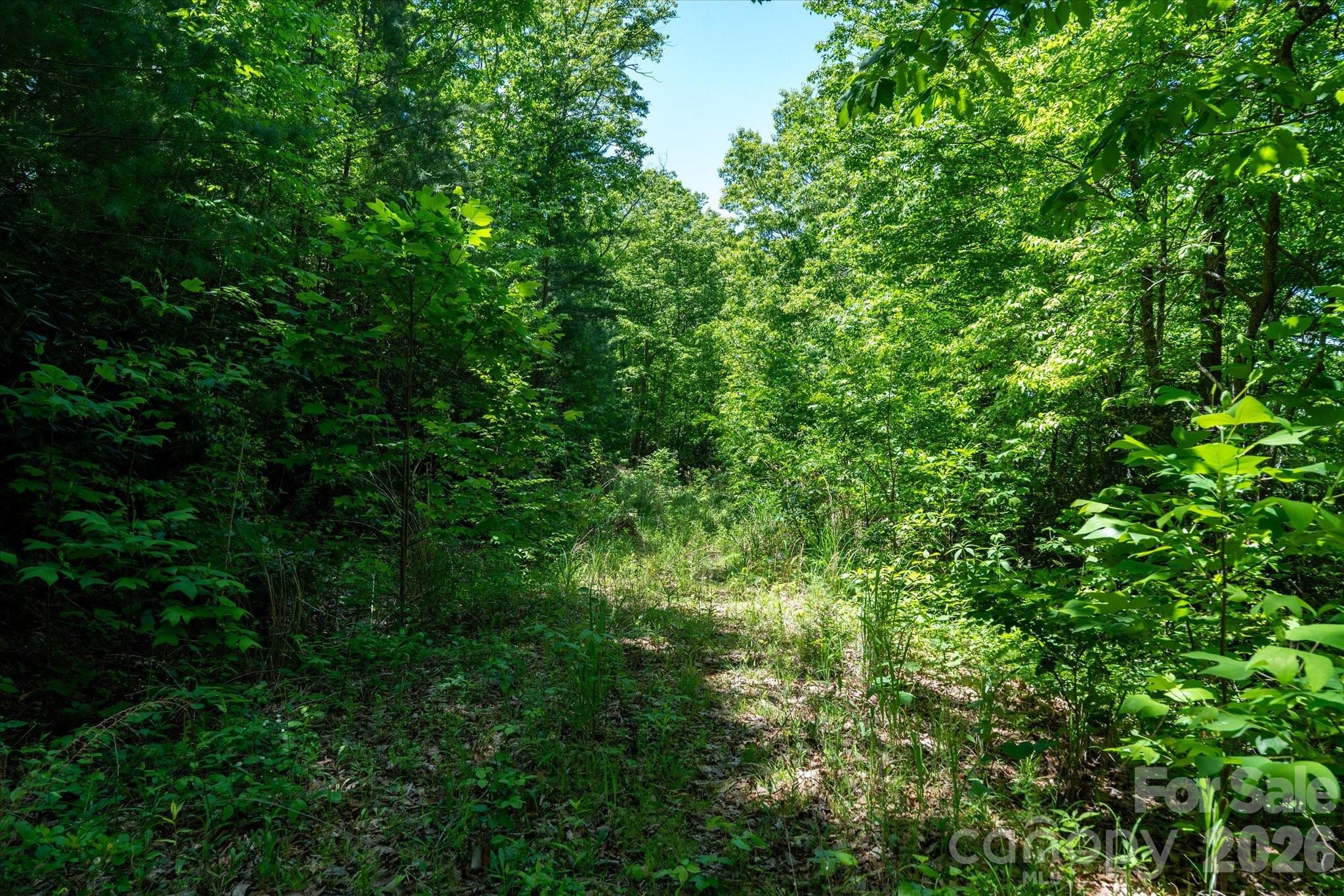 main property photo 11