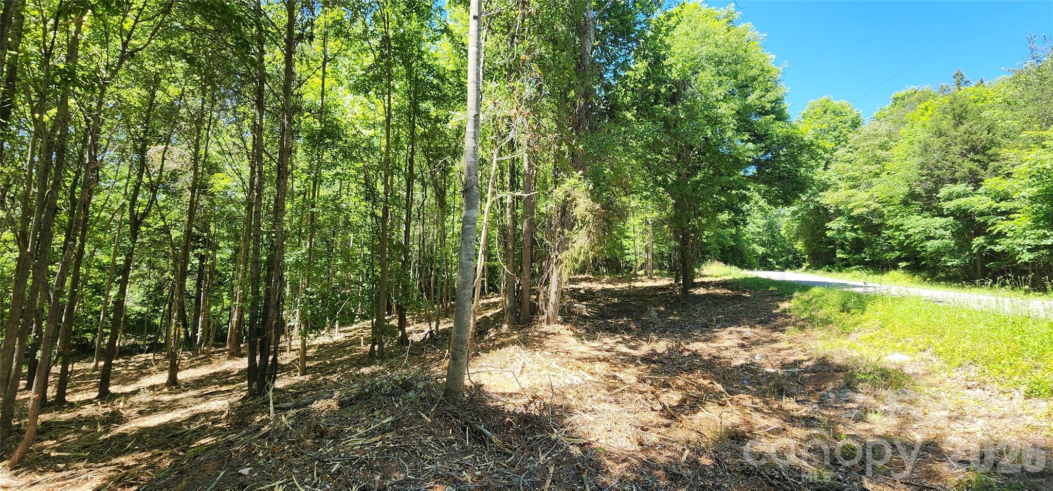 main property photo 30