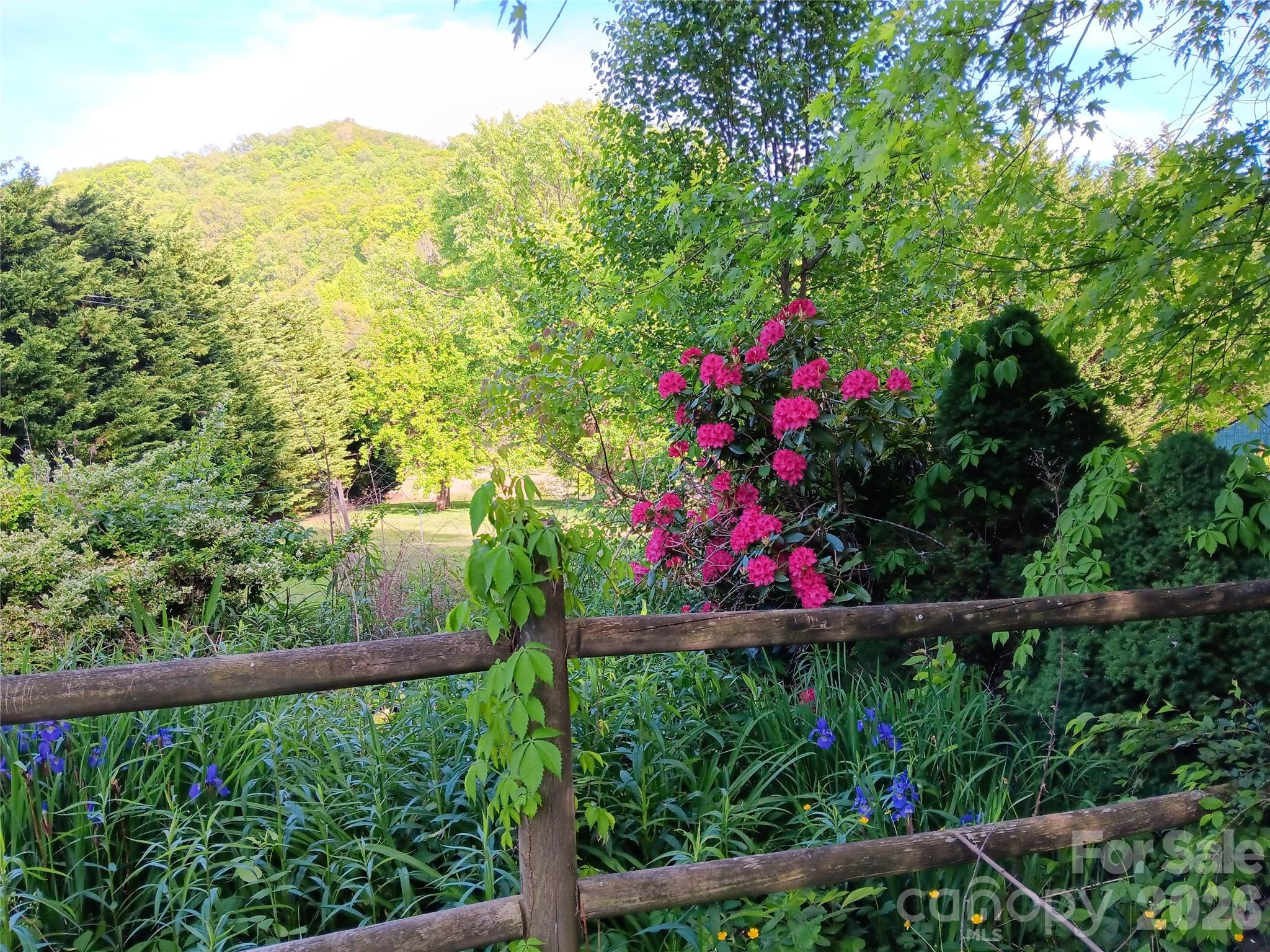 main property photo 25