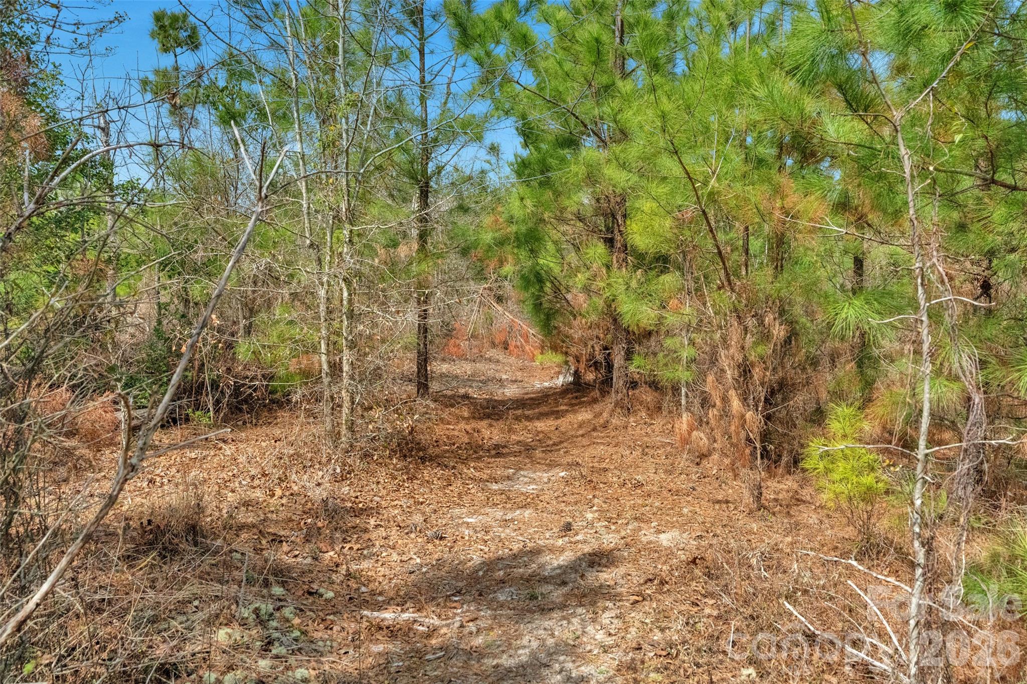 main property photo 28