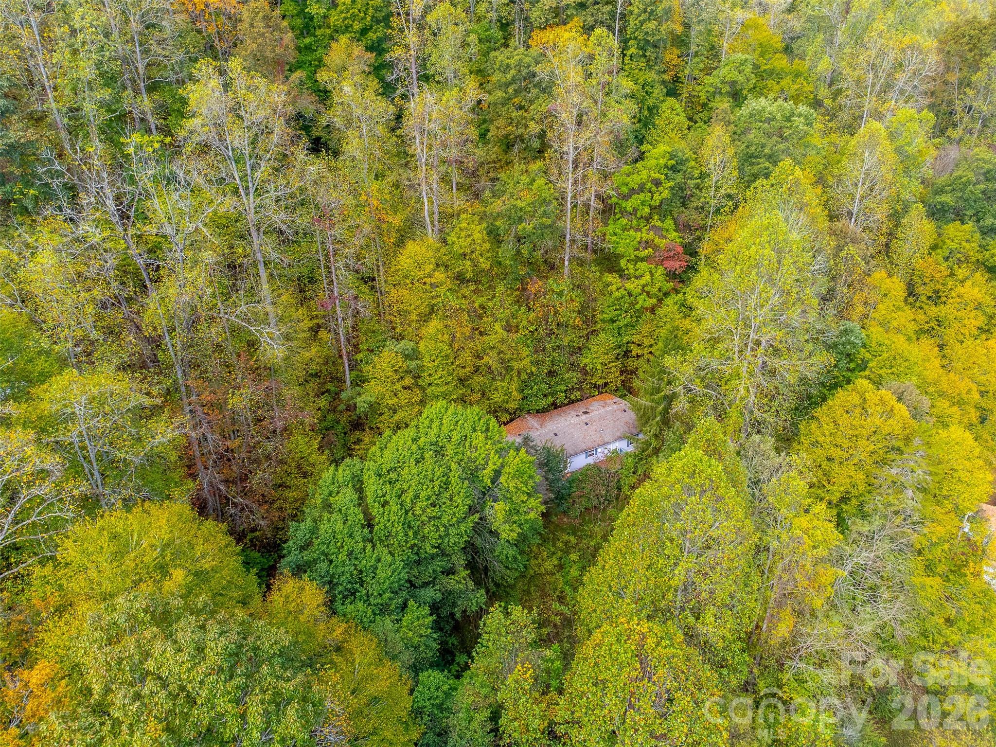 main property photo 43
