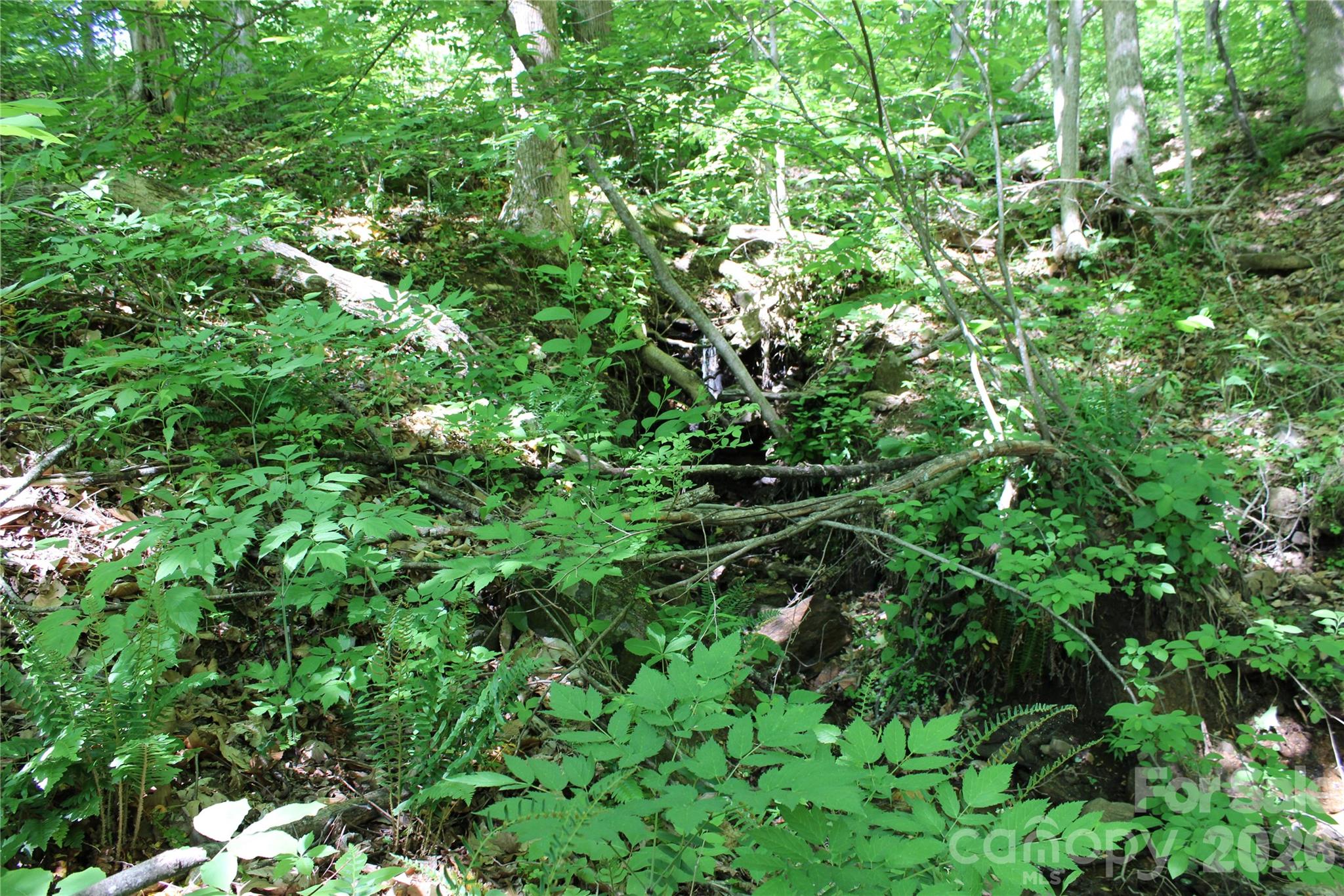 main property photo 7