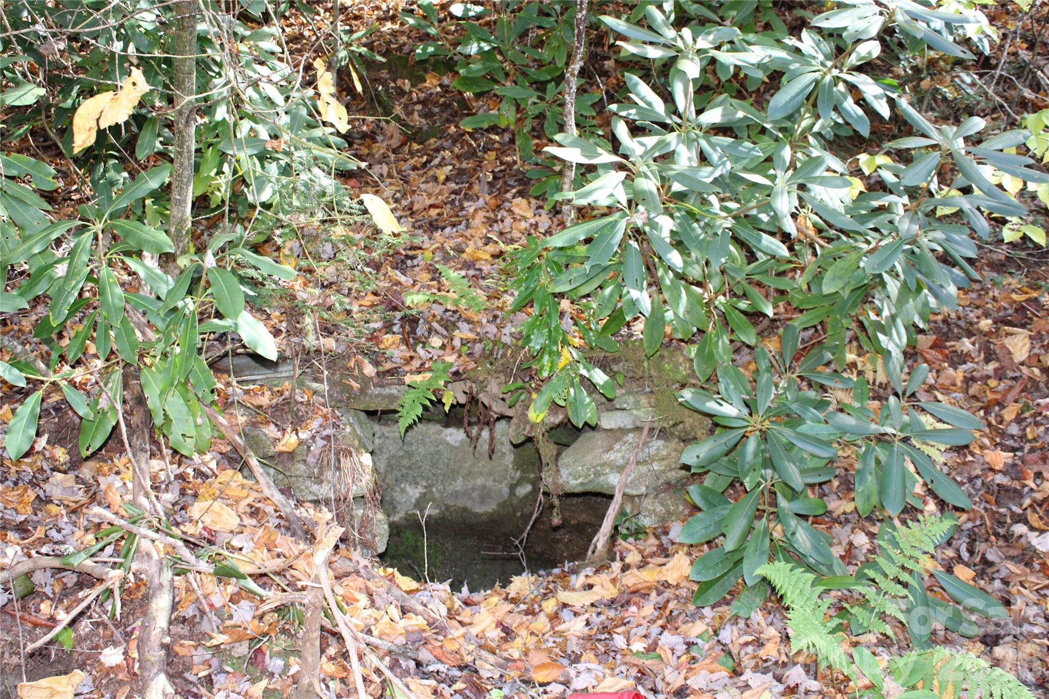 main property photo 13