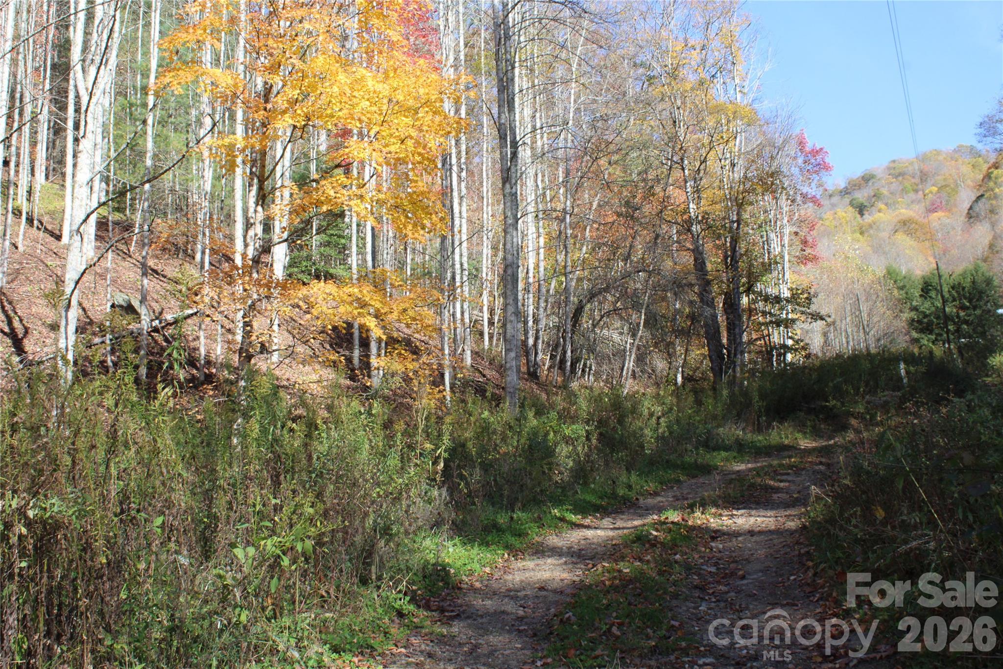 main property photo 8