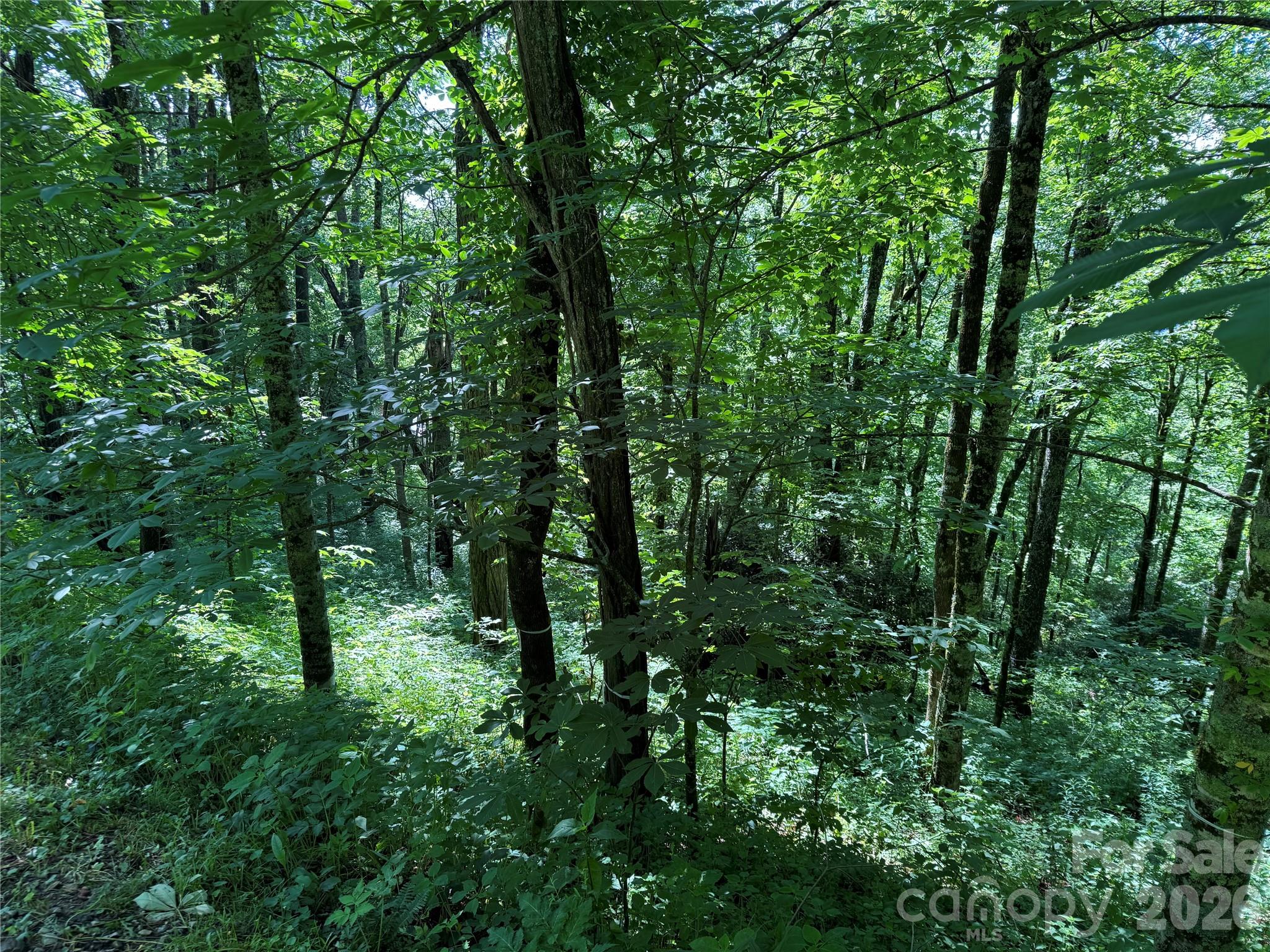 main property photo 34