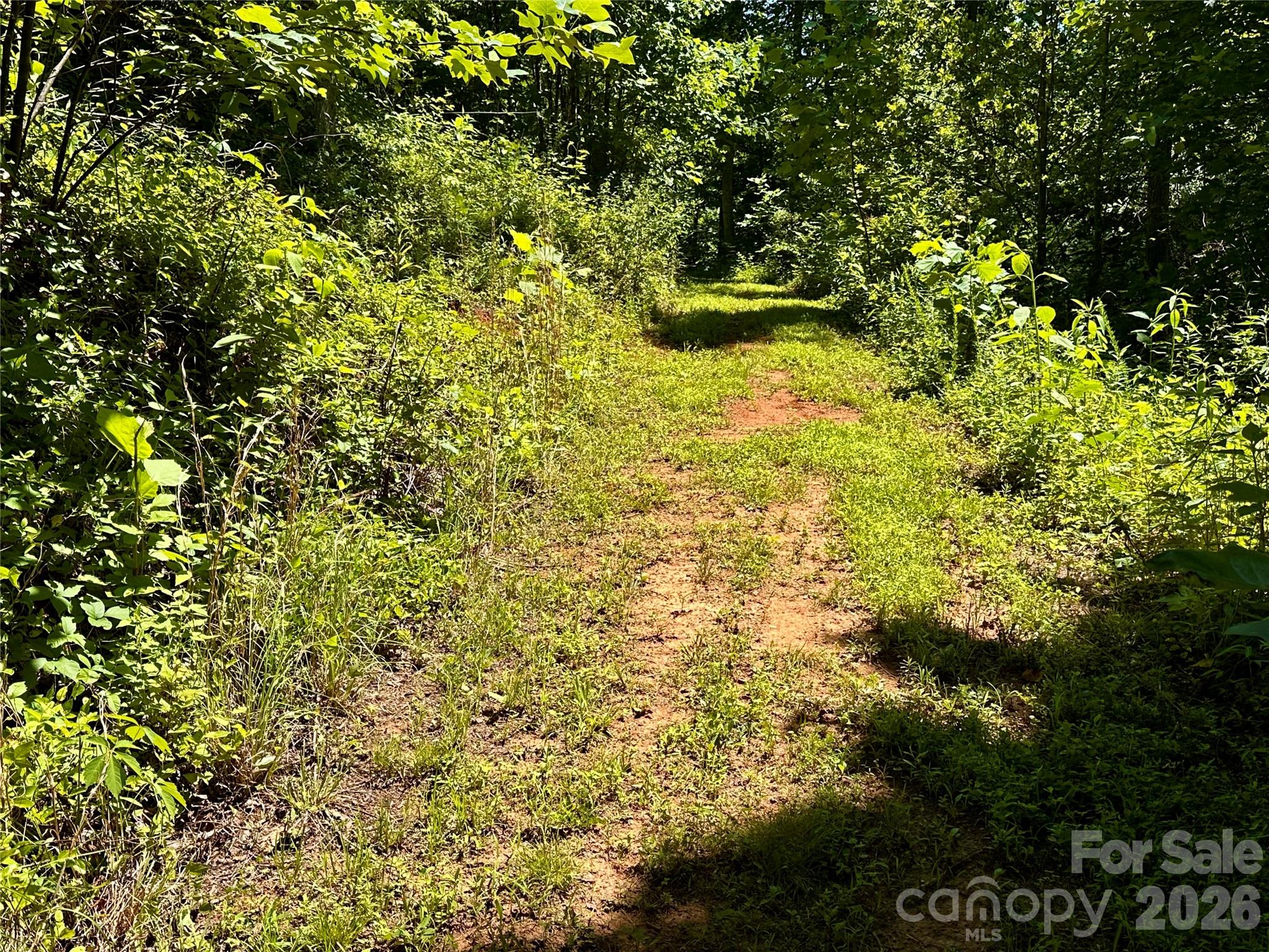 main property photo 45