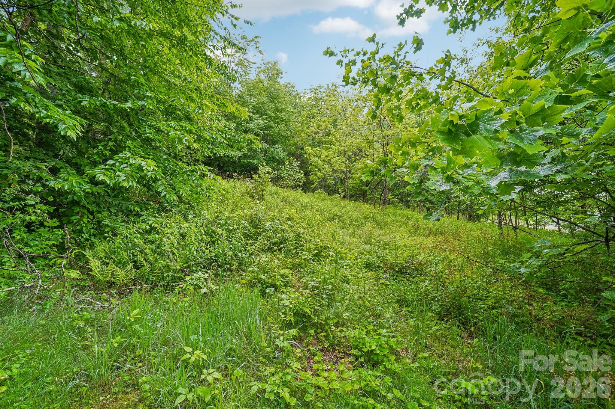 main property photo 37