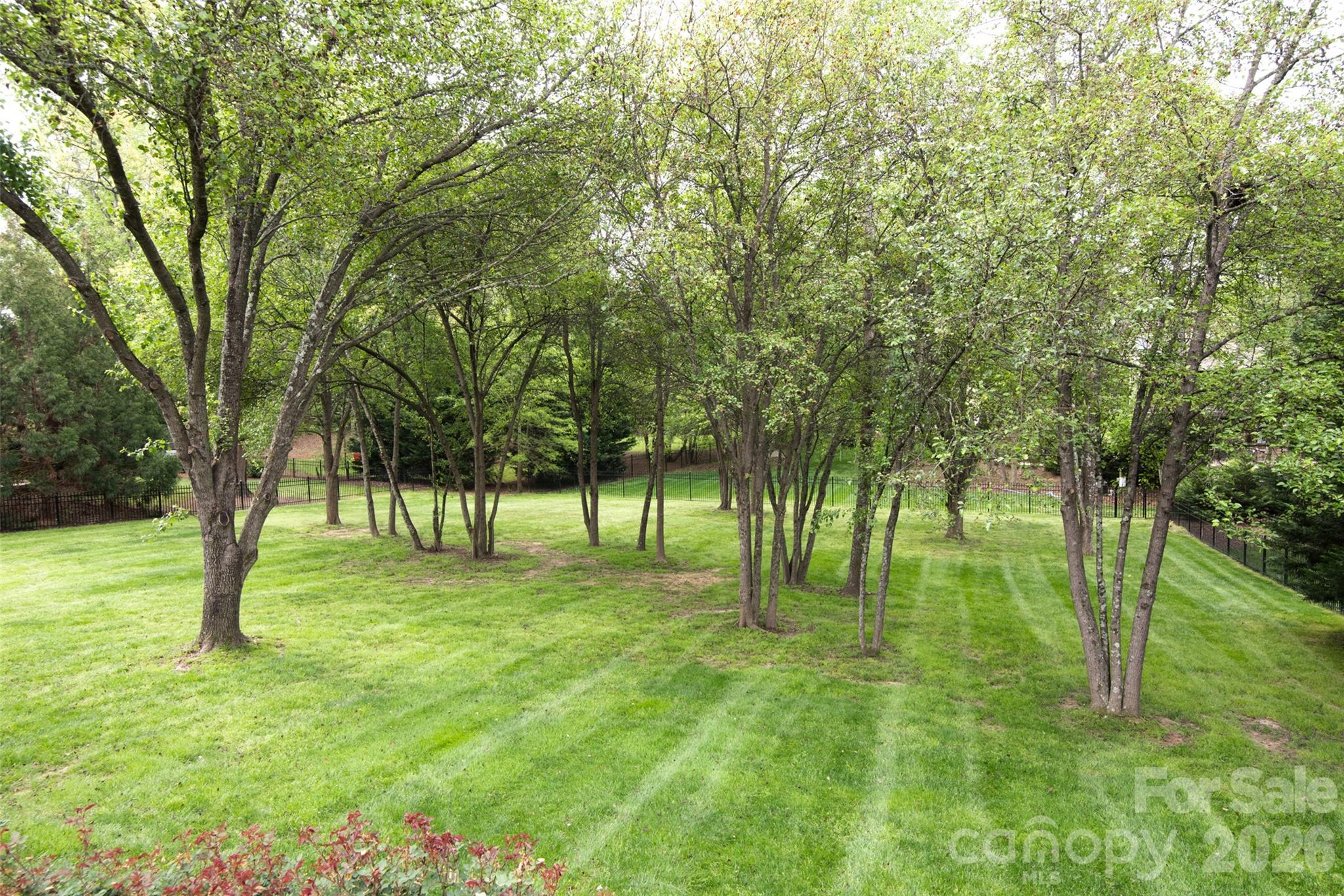 main property photo 37