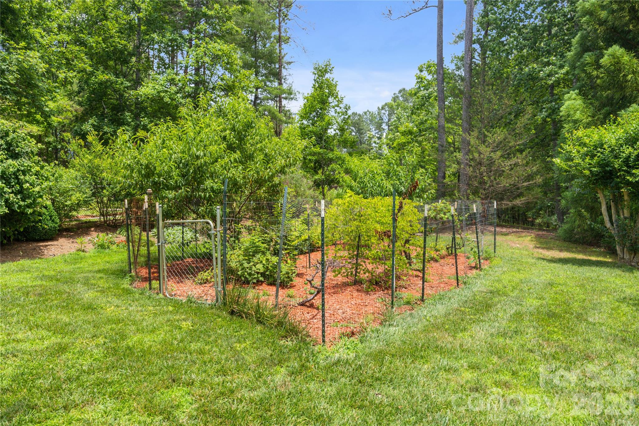 main property photo 38