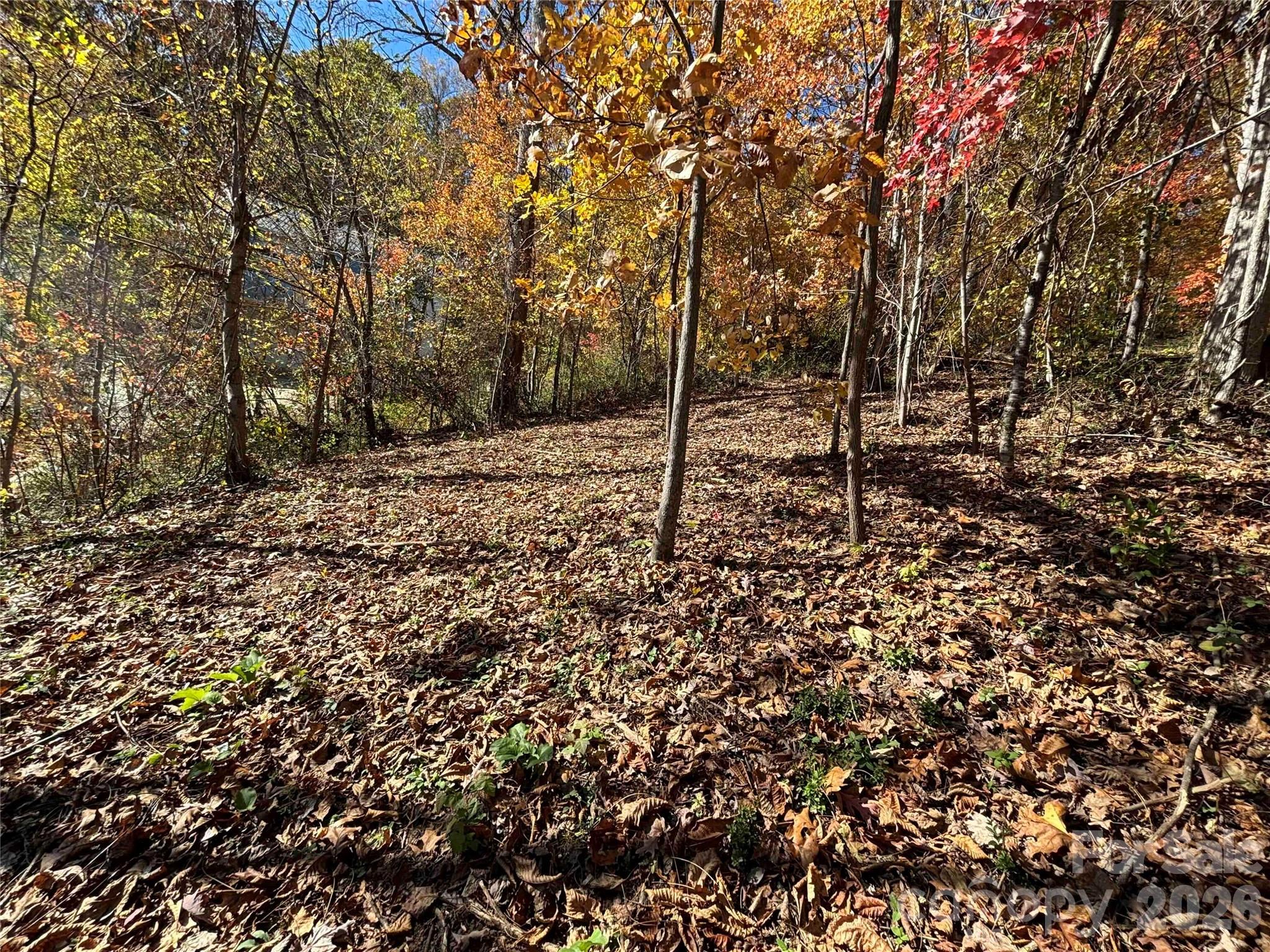 main property photo 15