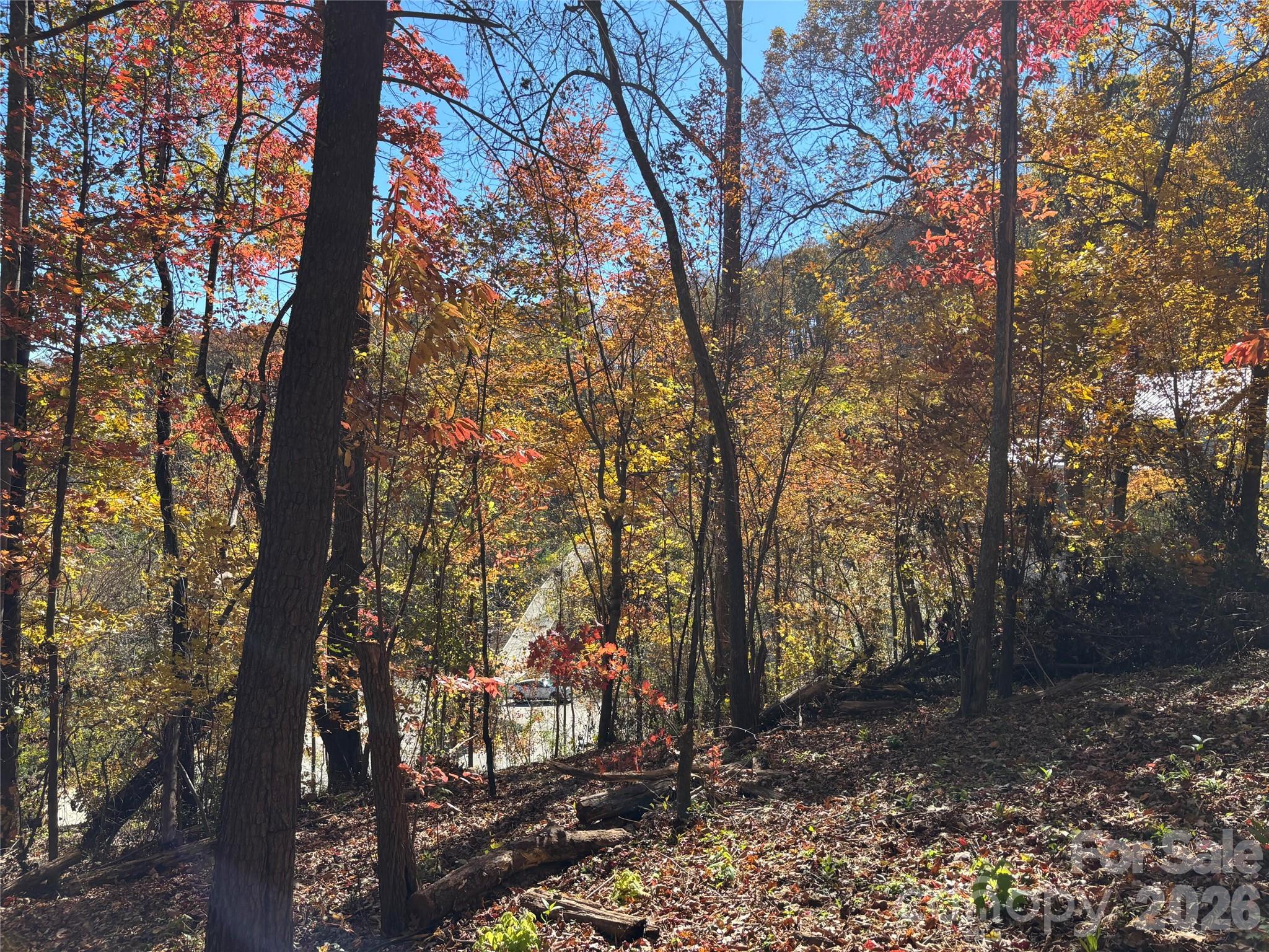 main property photo 7