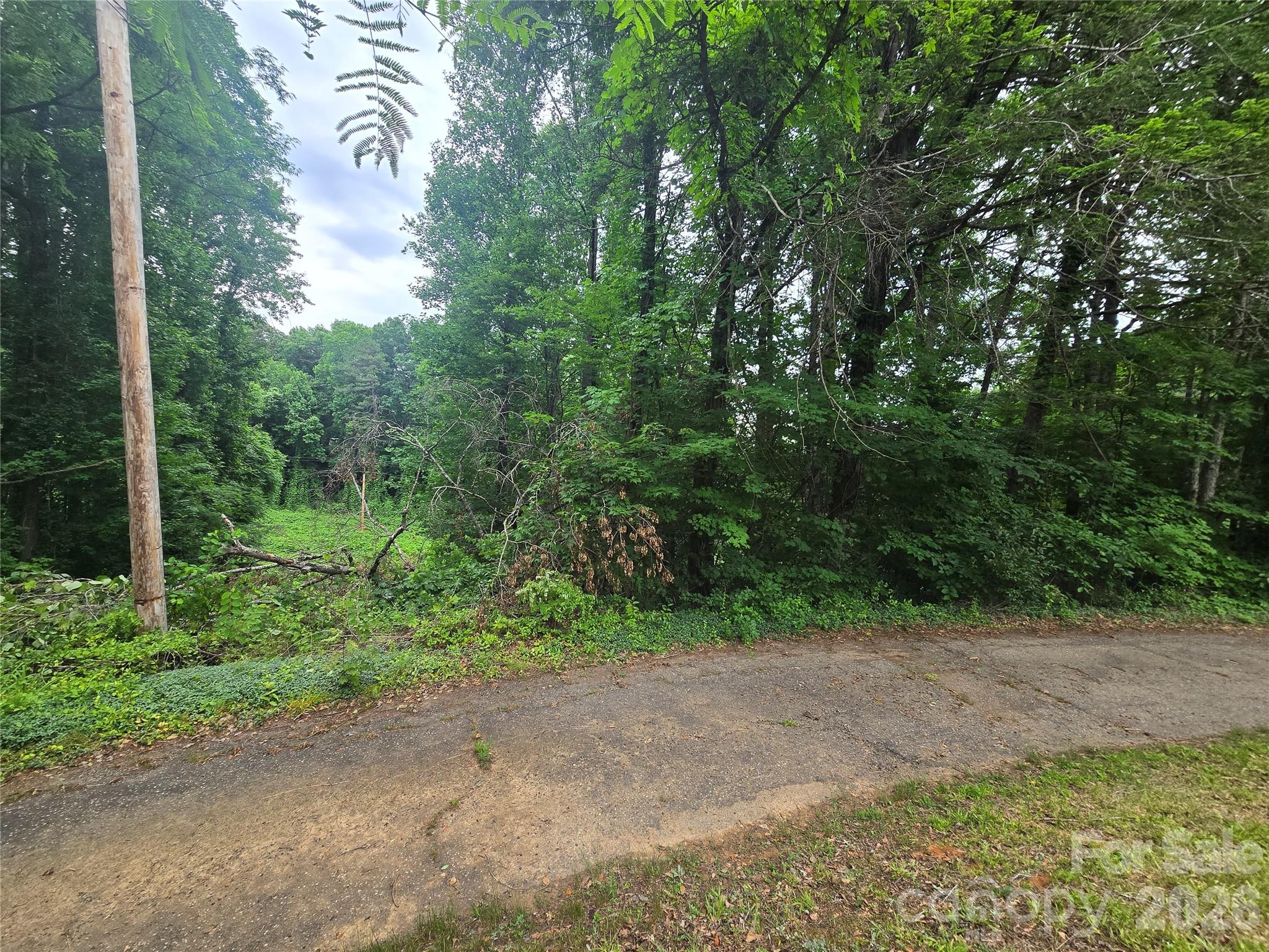 main property photo 20