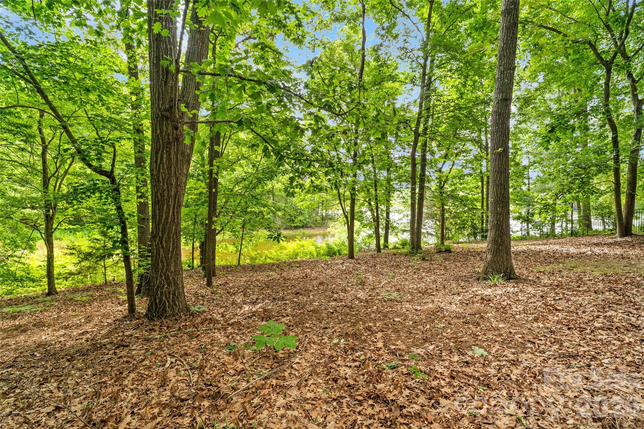 main property photo 47