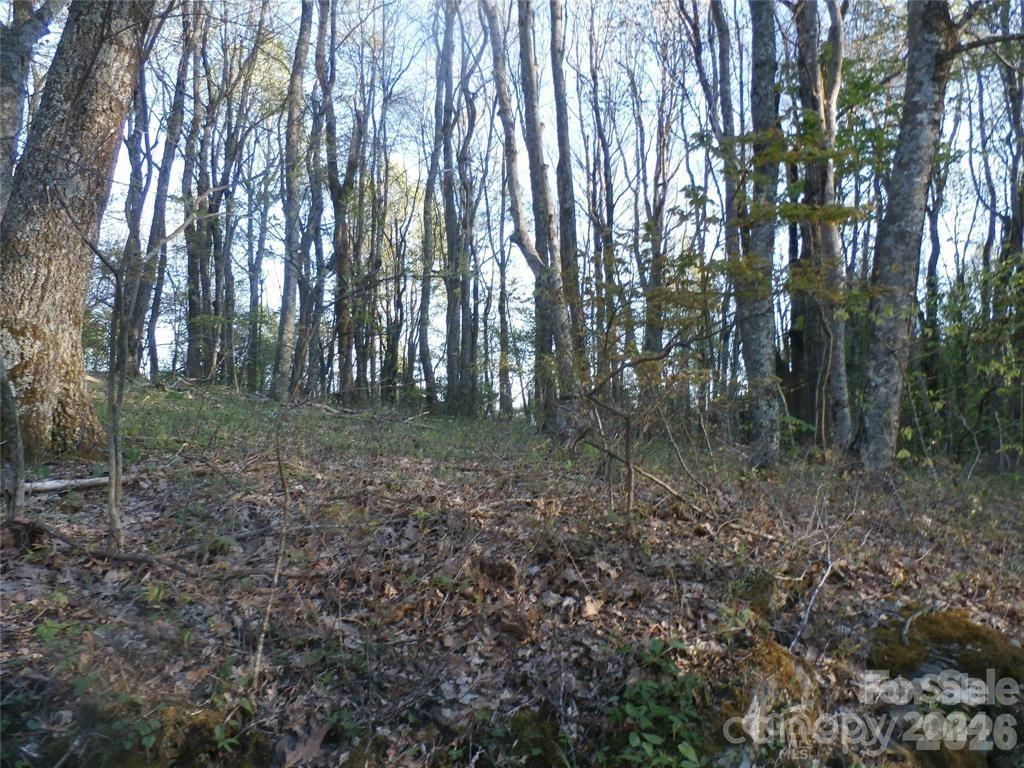 main property photo 25